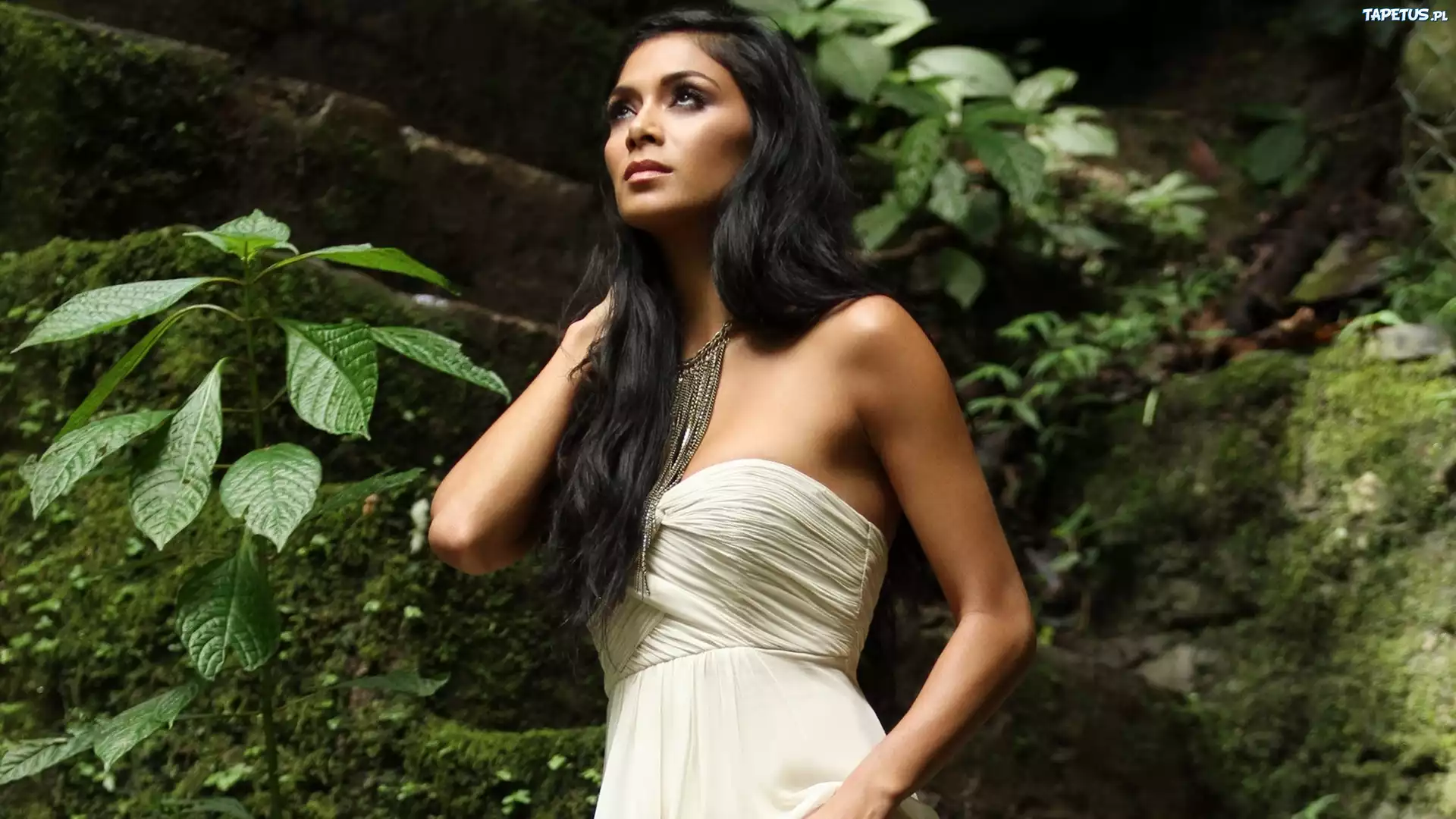 Nicole Scherzinger, Rośliny, Biżuteria