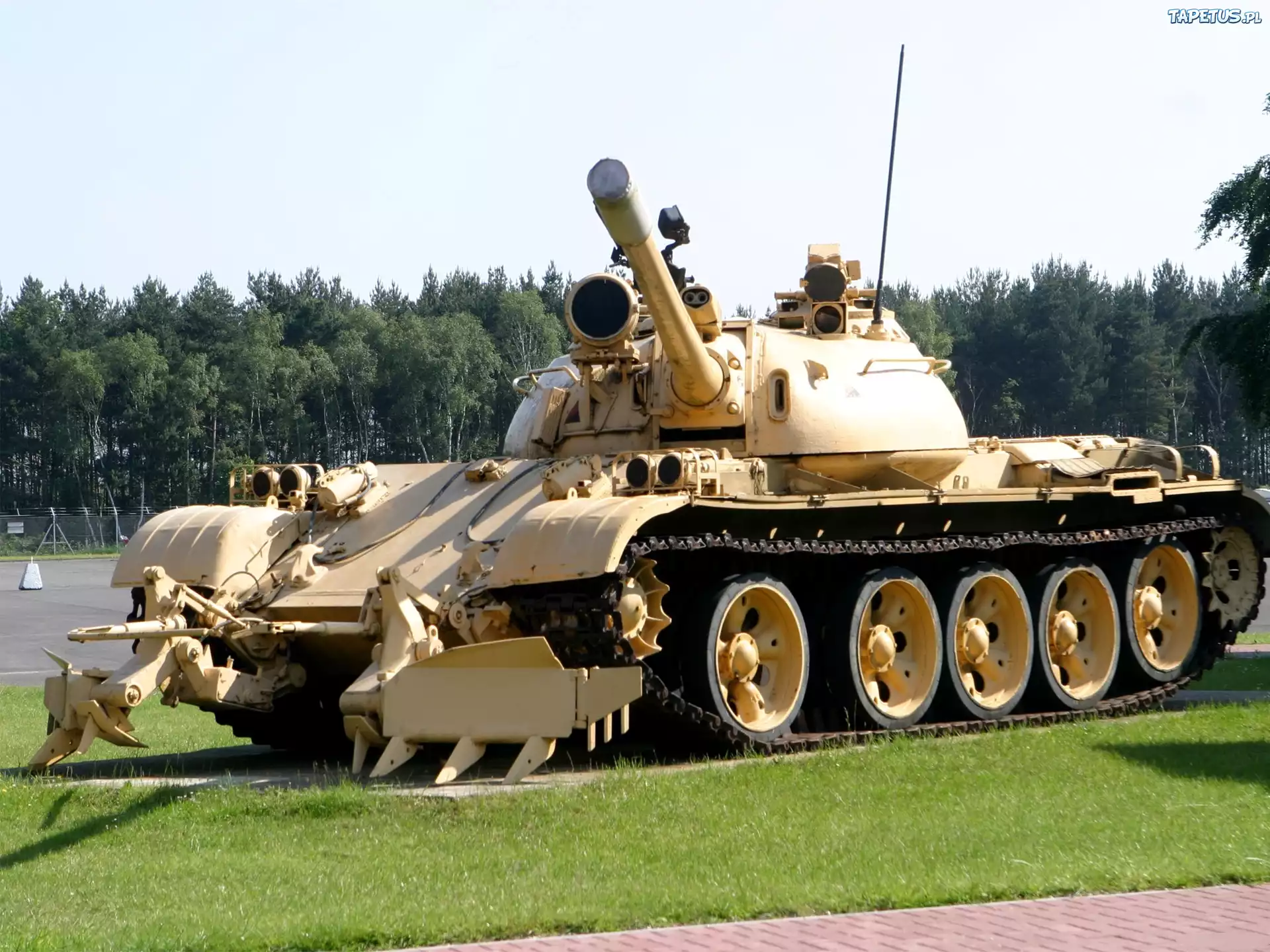 Czołg, T-55, Drzewa, Trawa