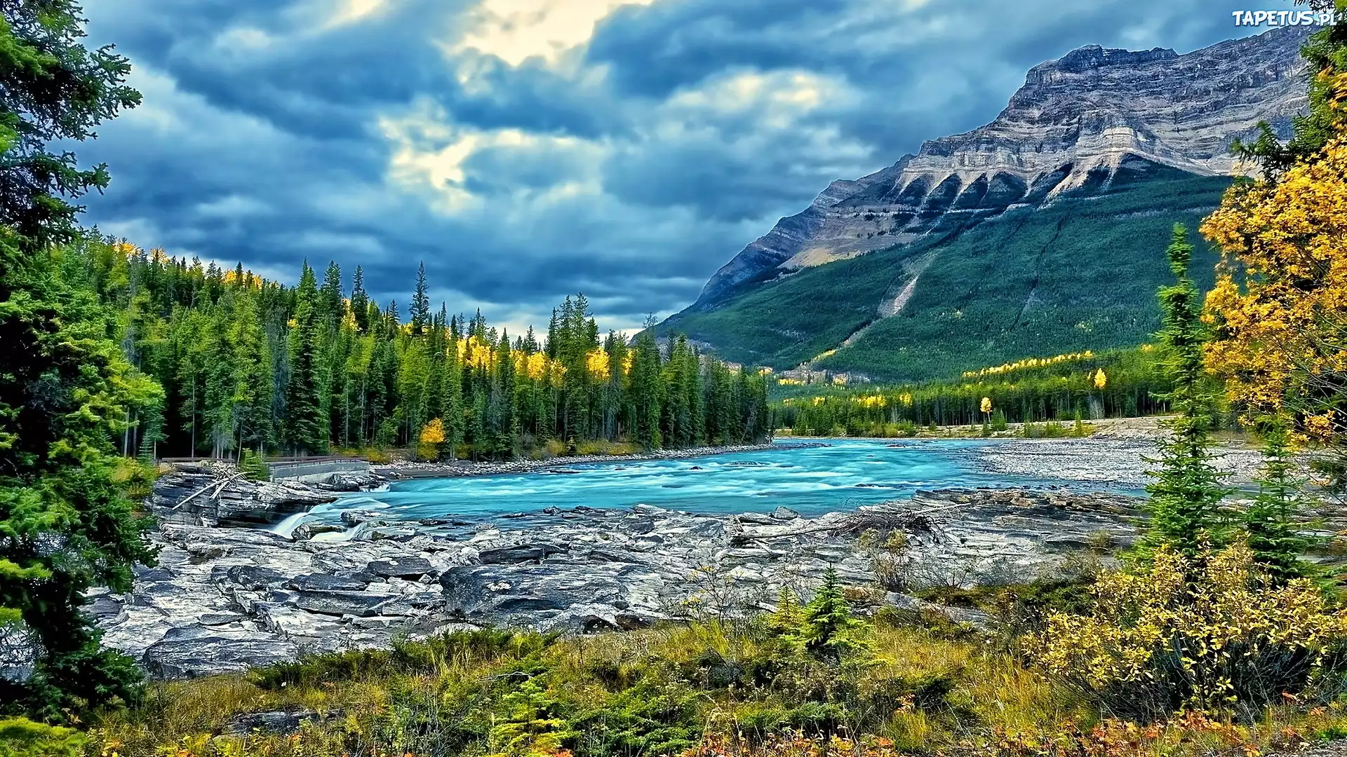 Alberta, Park, Narodowy, Jasper