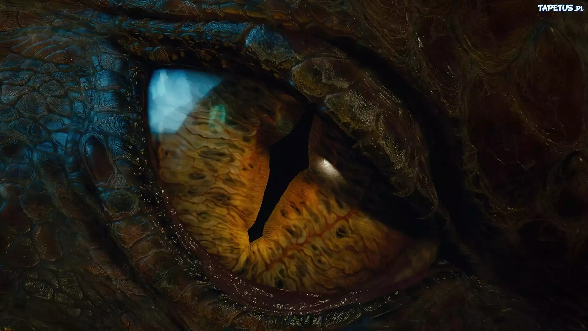 Hobbit, Pustkowie Smauga, Oko, Smaug