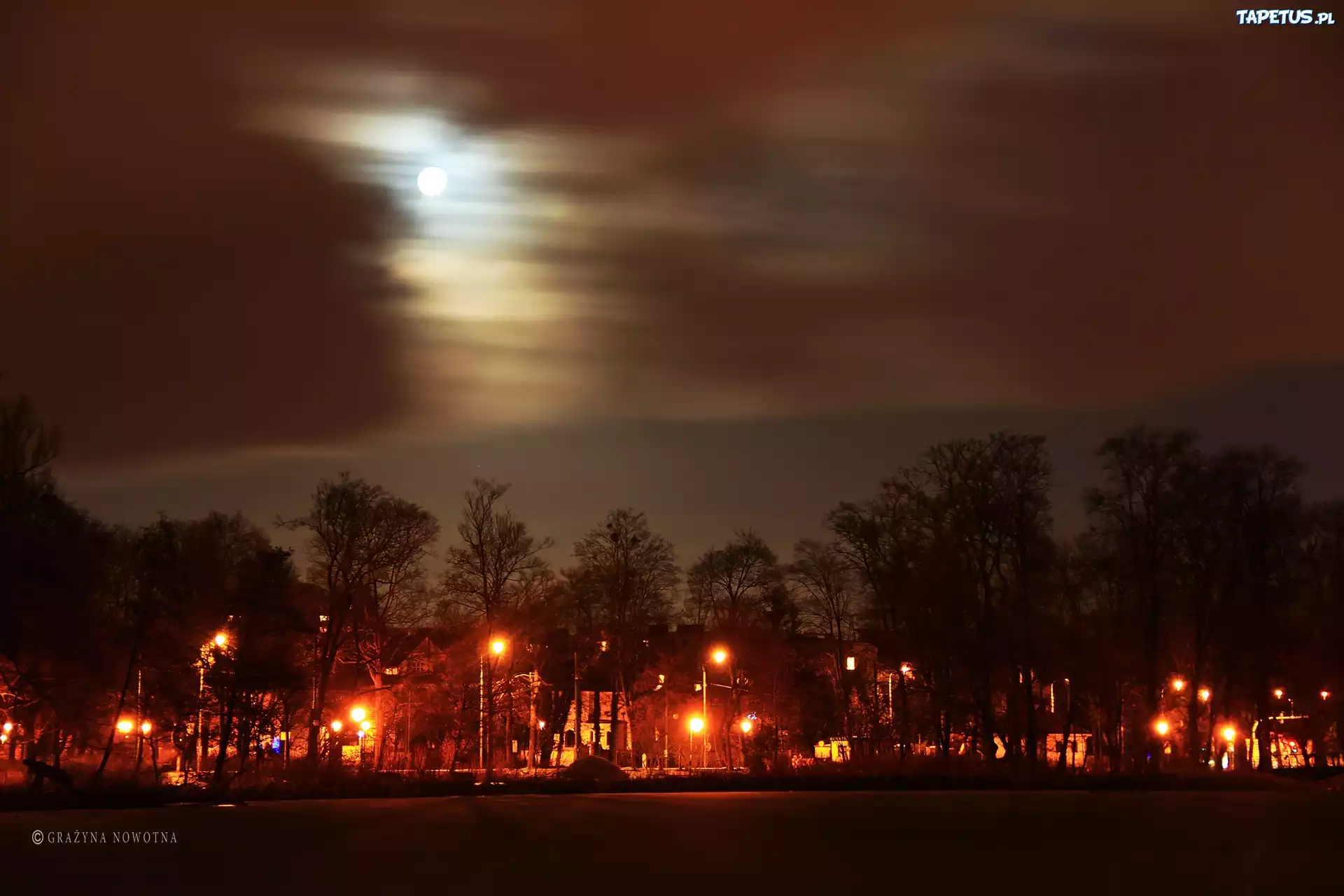 Park, Wieczór, Drzewa, Księżyc