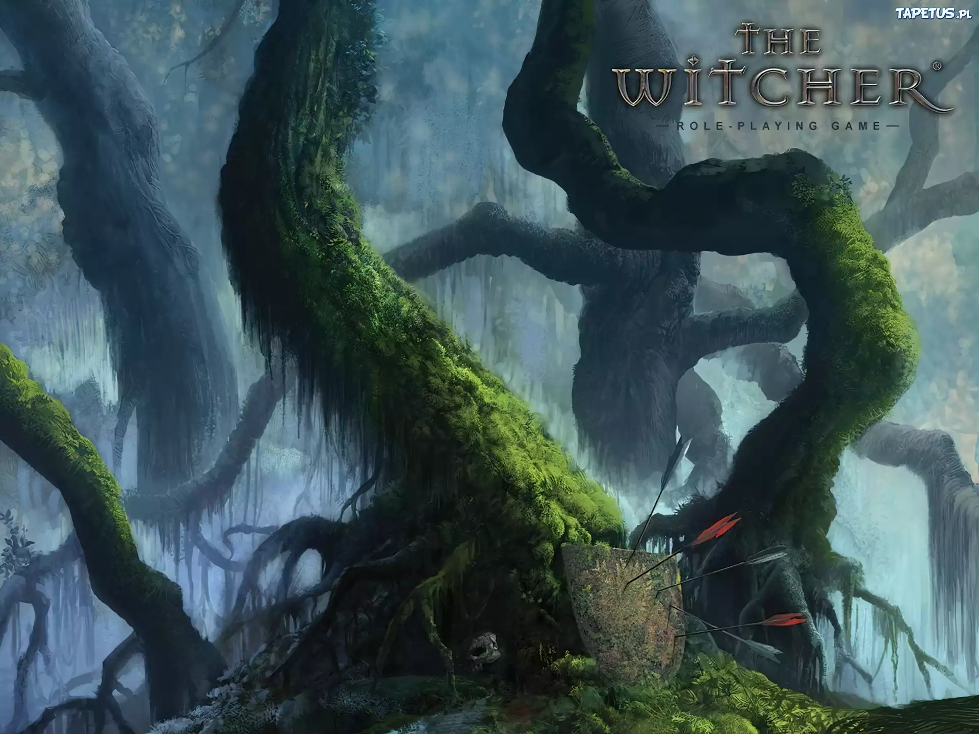 The Witcher, tarcza, strzały, drzewo, las