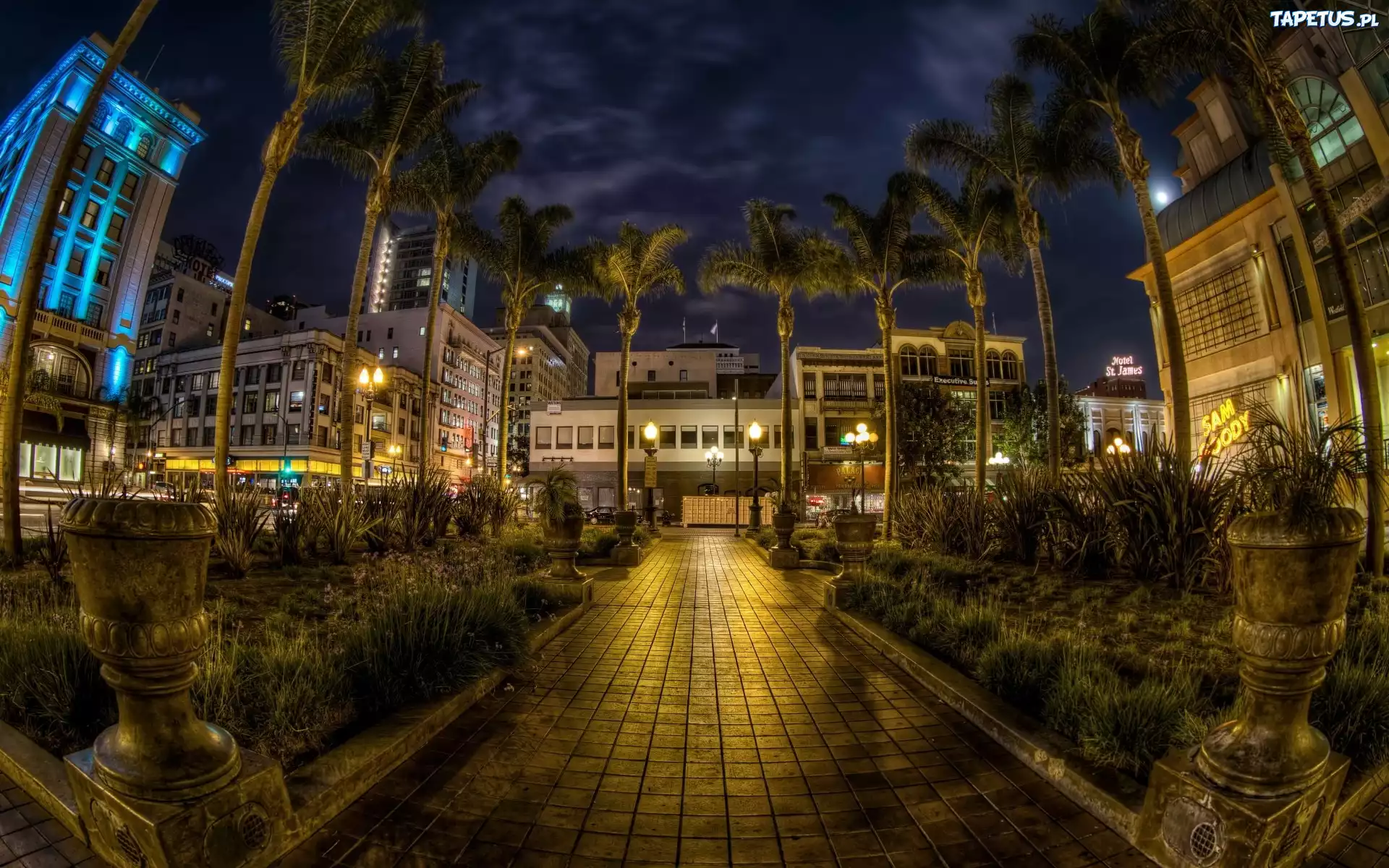 Miasto Nocą, San Diego