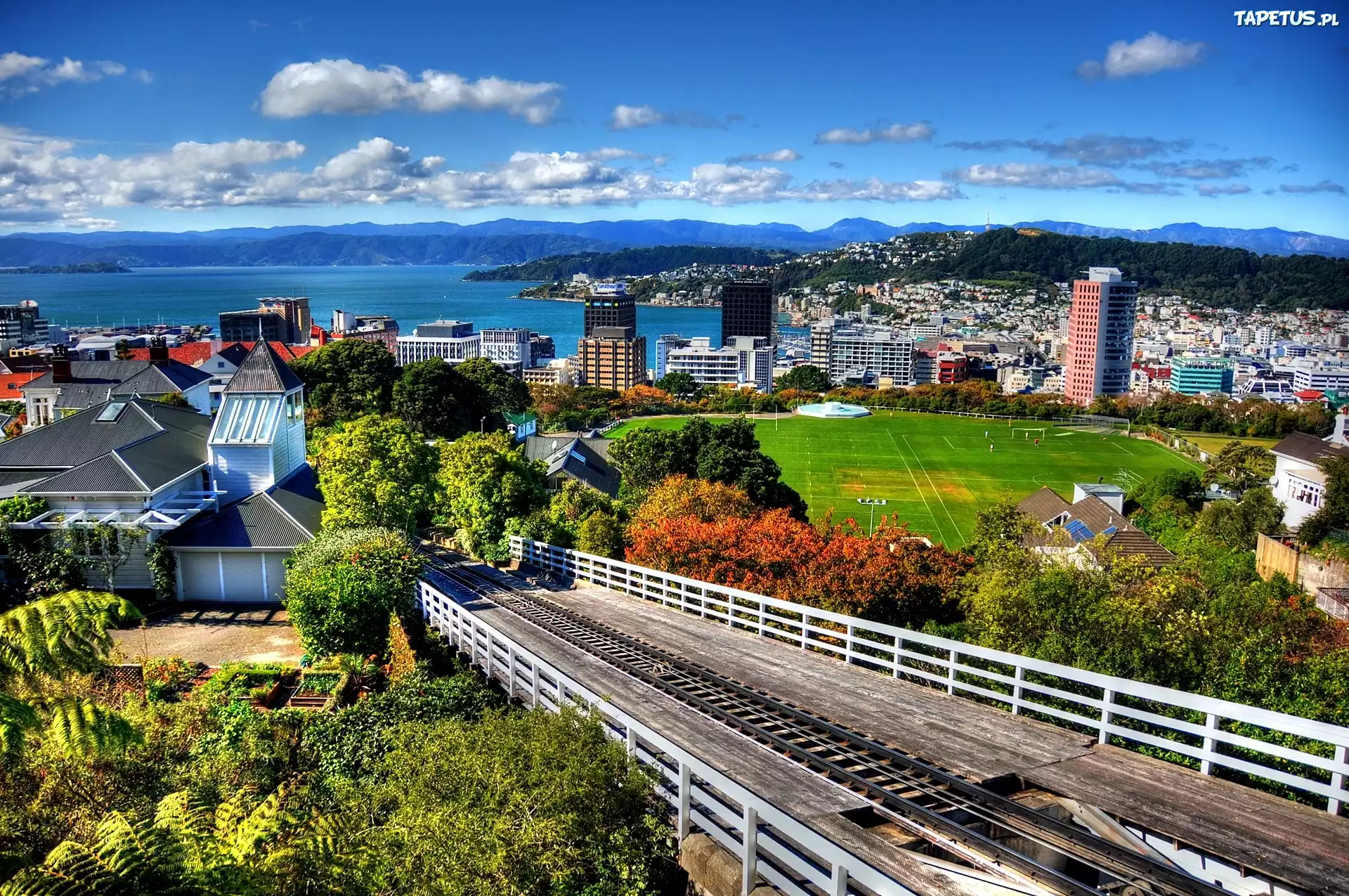 Panorama, Miasta Wellington, Nowa Zelandia