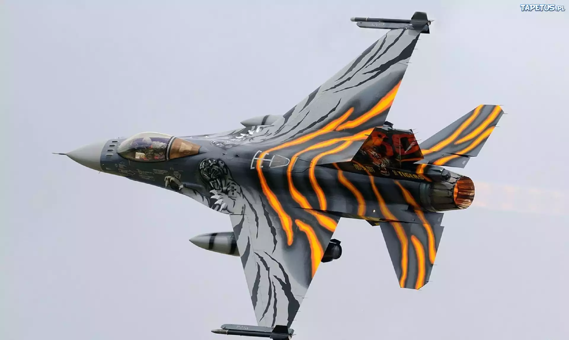Myśliwiec, F-16, Maskowani