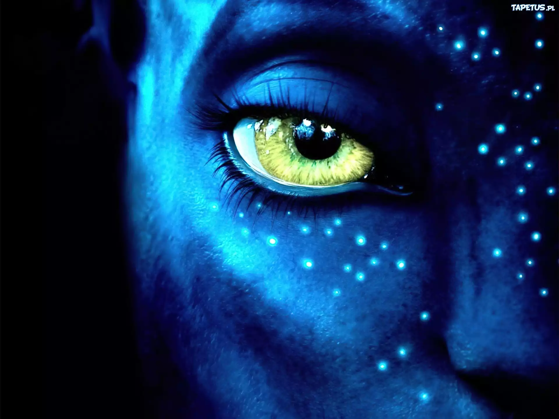 Avatar, Oko