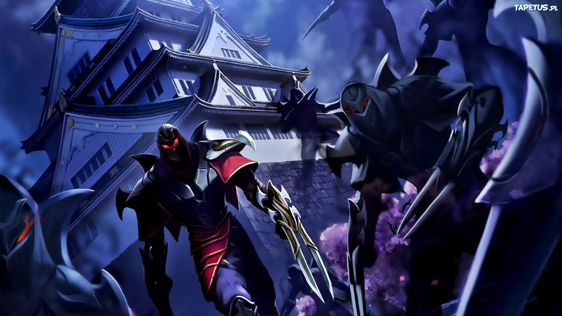 Gra, Zed