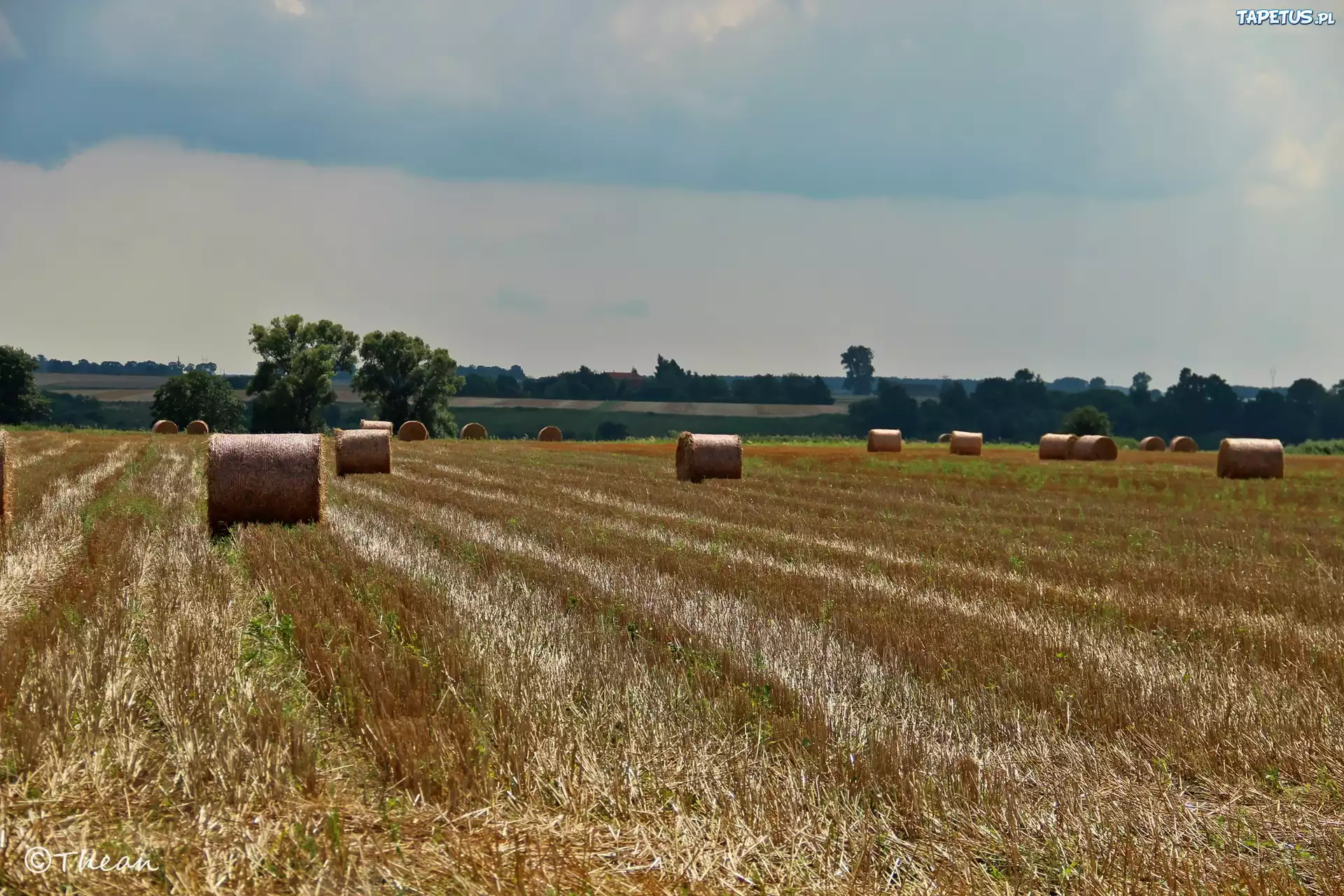 Zżęte, Zboże, Pole, Lato