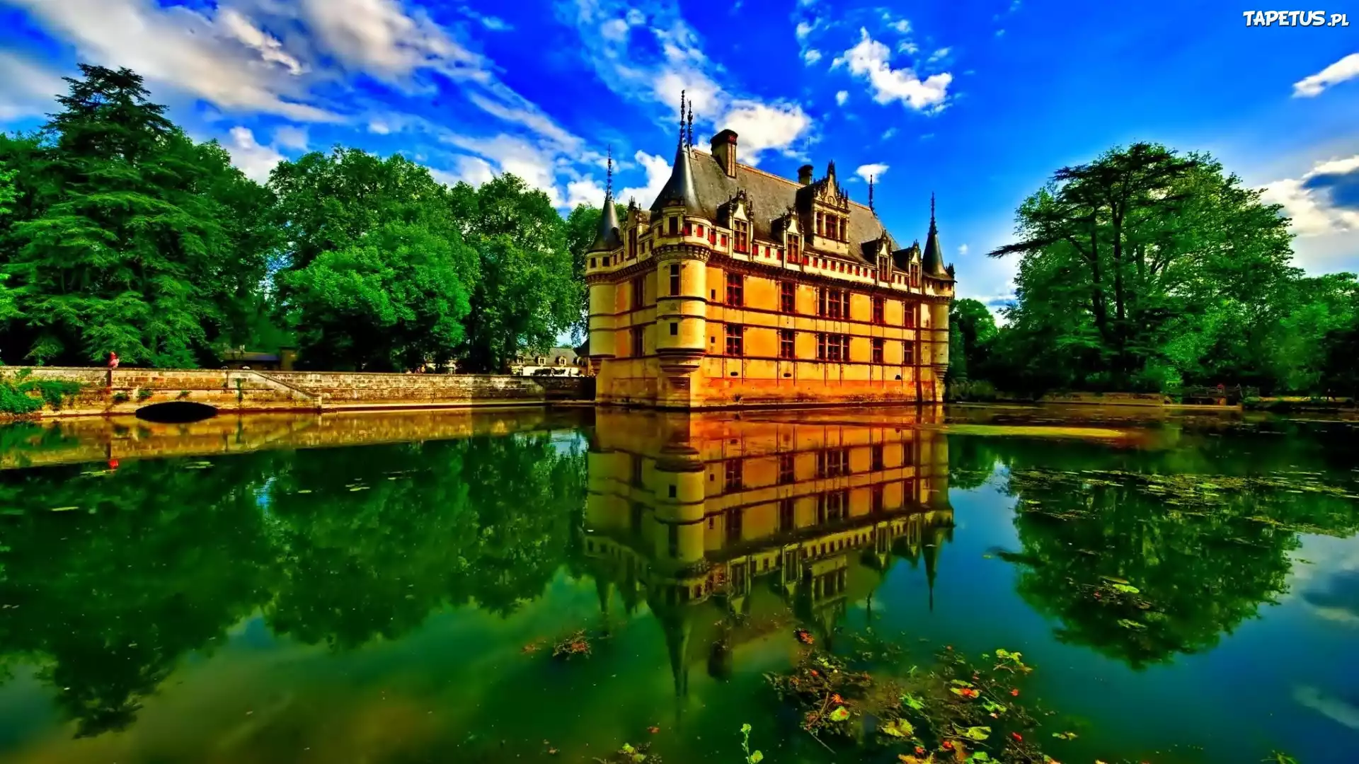 Zamek, W Azay le Rideau, Rzeka, Indre, Drzewa