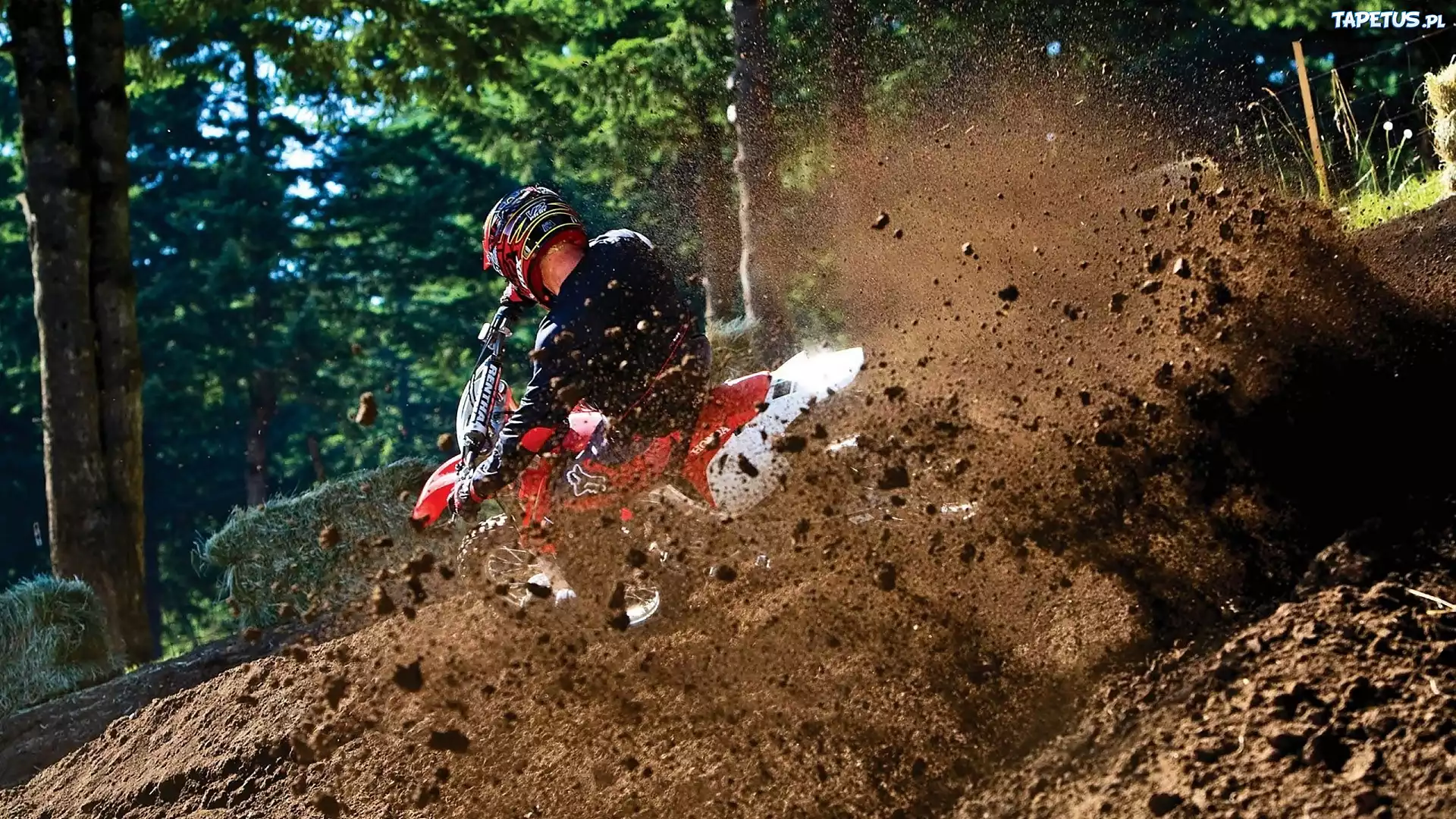 Lato, Las, Motocross, Zawodnik