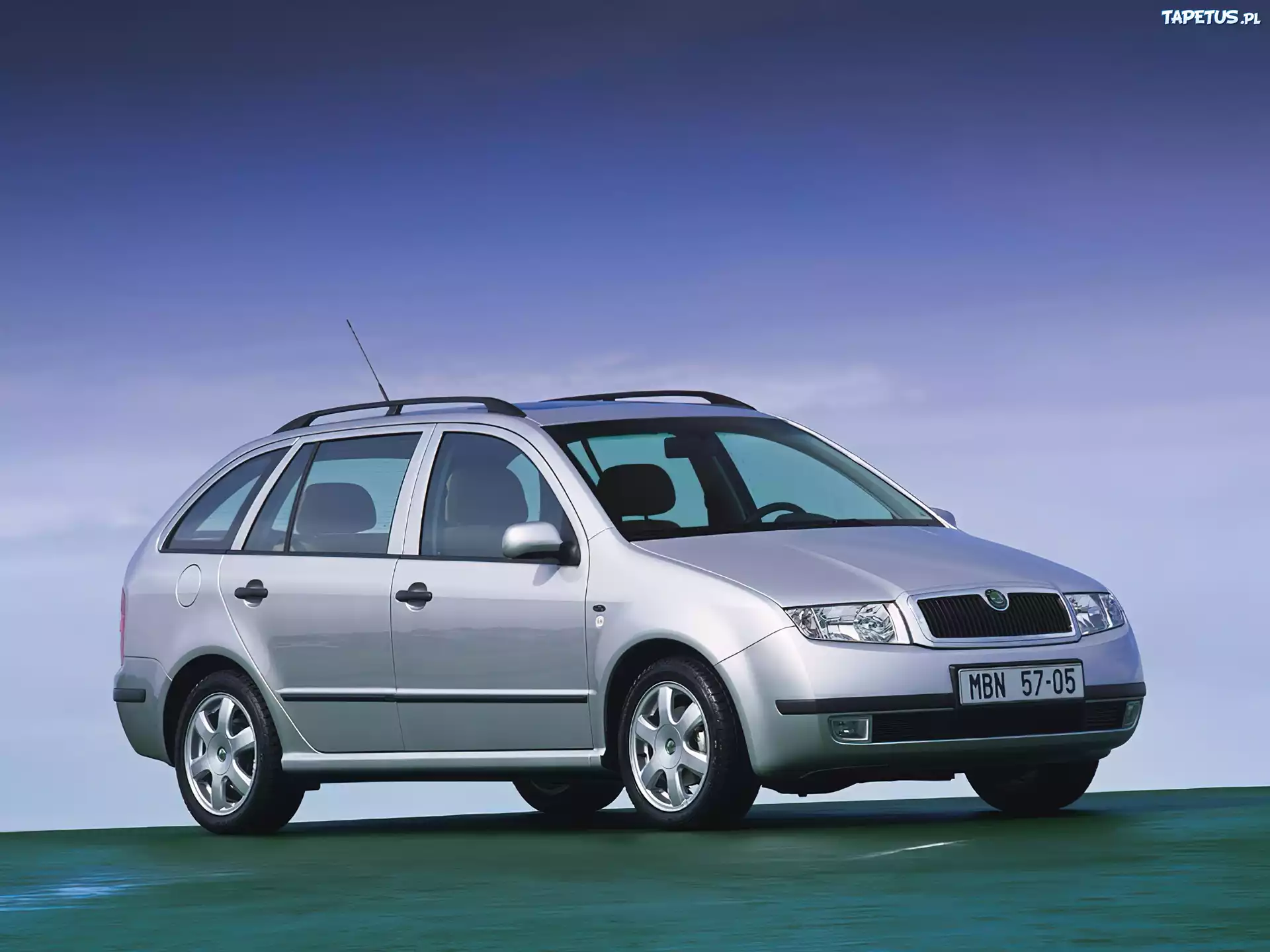 Srebrna, Skoda Fabia, Kombi