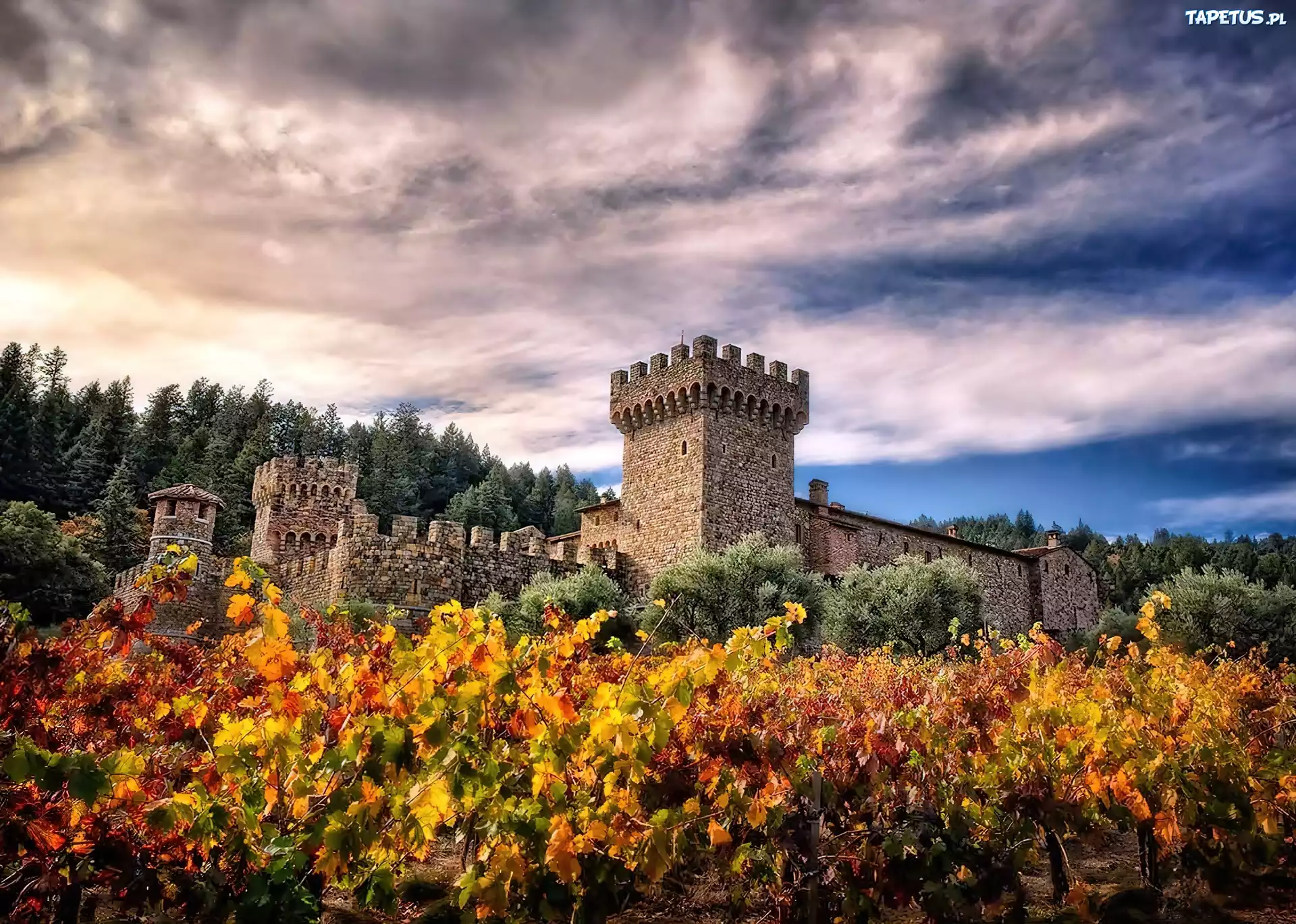 Kalifornia, Napa, Valley, Castello, Di Amorosa, Winnica
