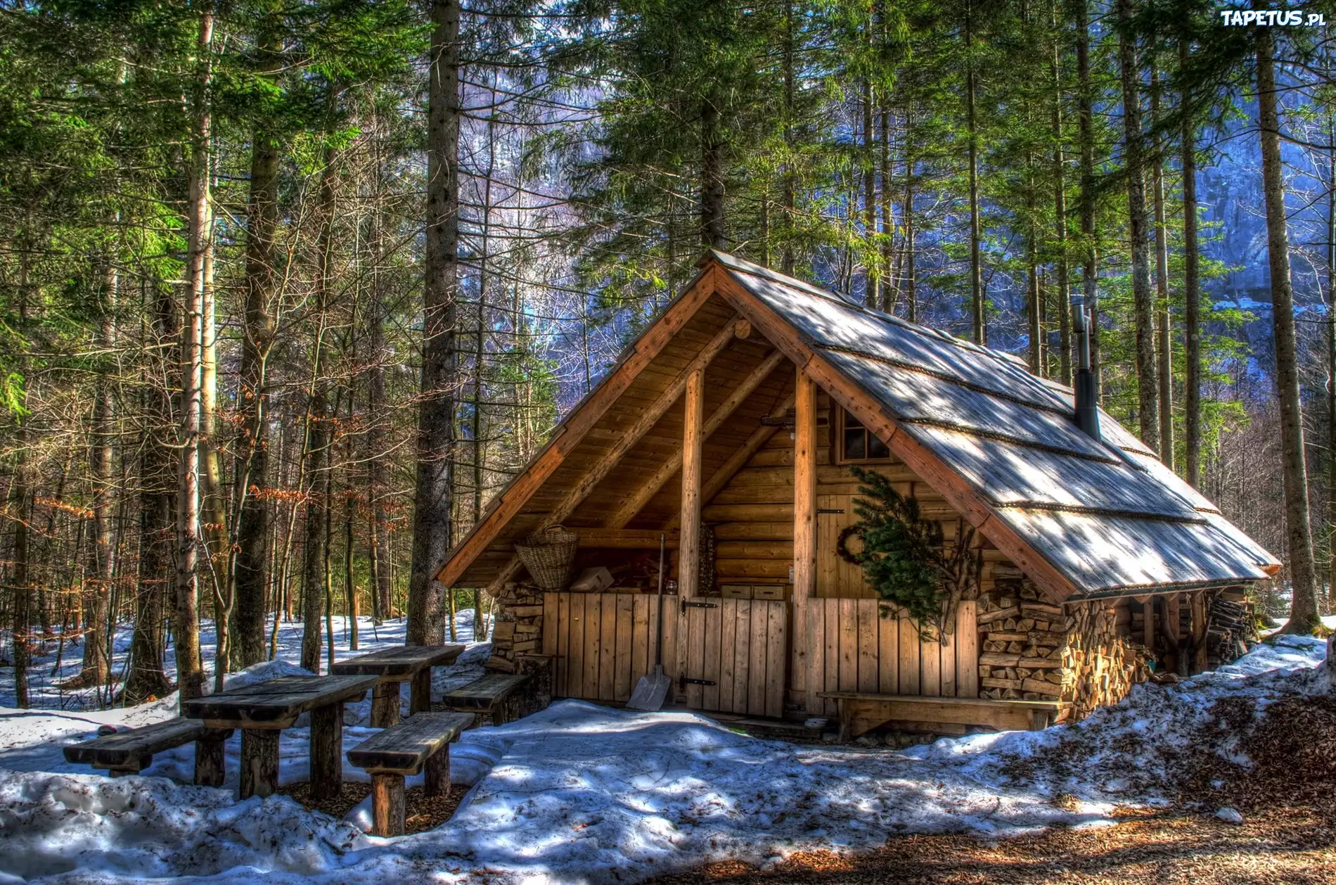 Drewniany, Domek, Las, Wiosna, HDR