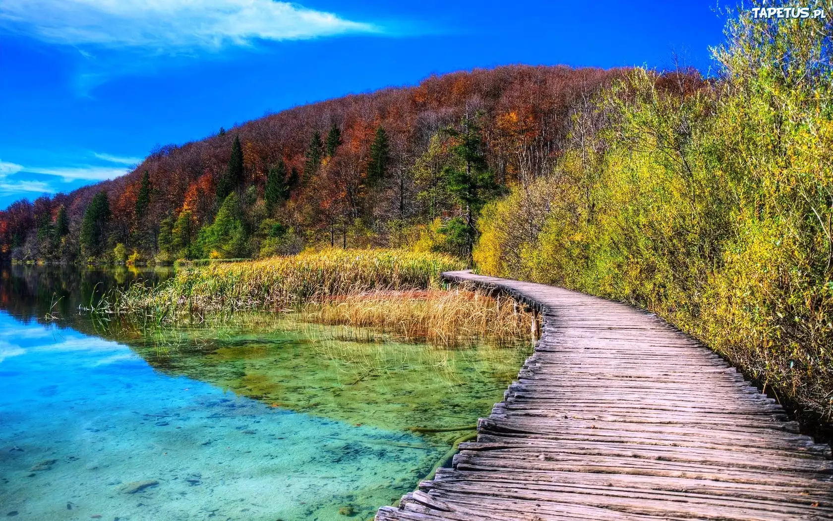 Jezioro, Las, Mostek