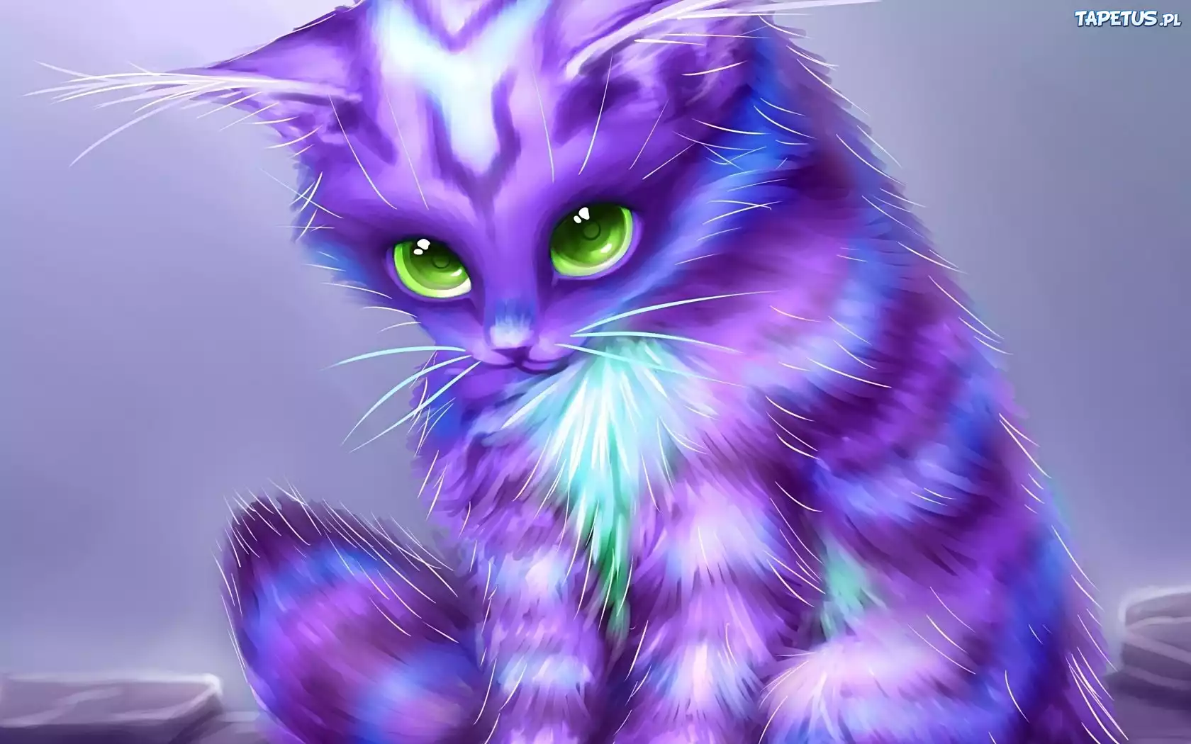 Purpurowy, Kot, Grafika, Kagaya