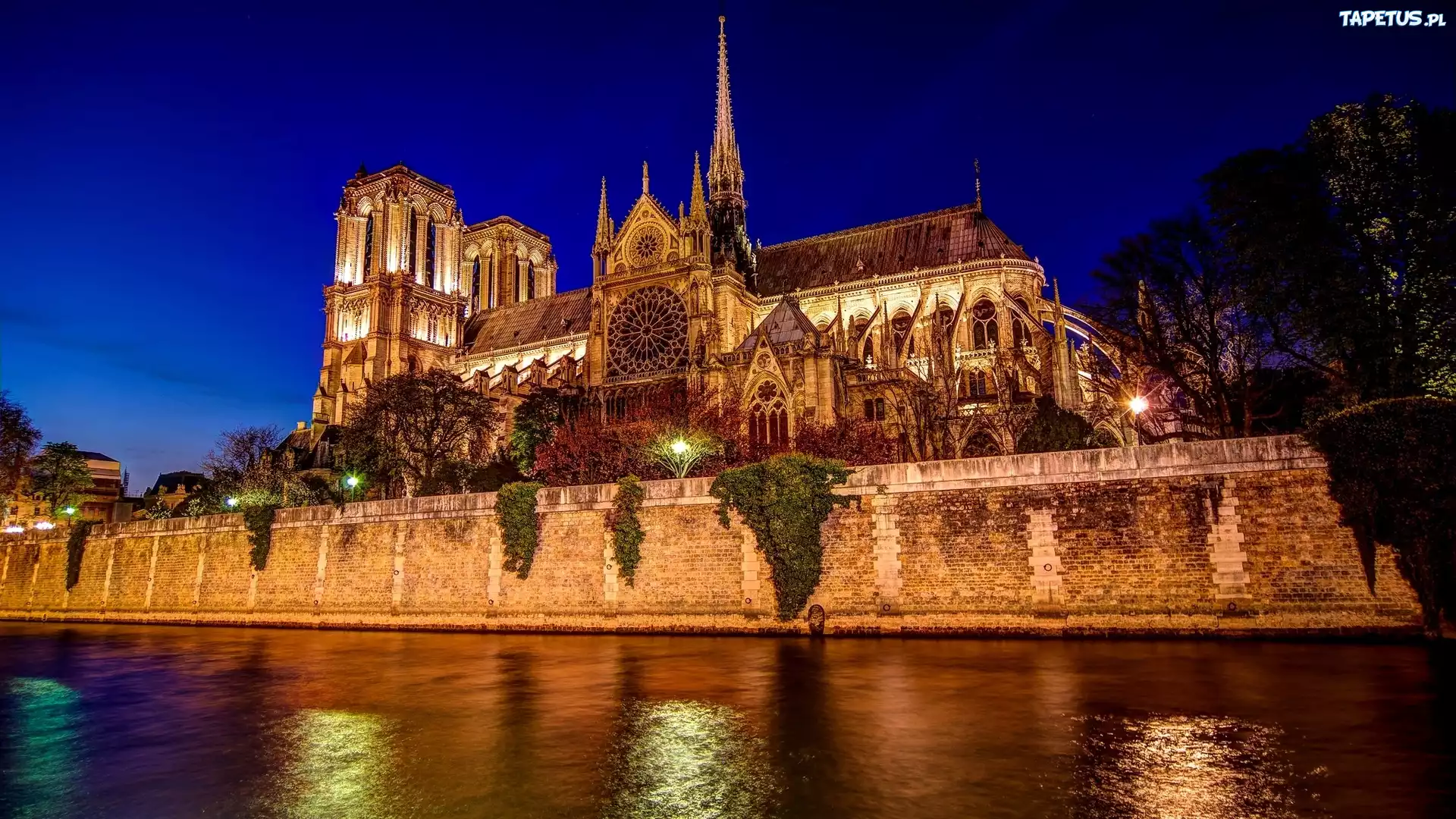 Oświetlona, Katedra Notre Dame, Noc, Paryż, Francja