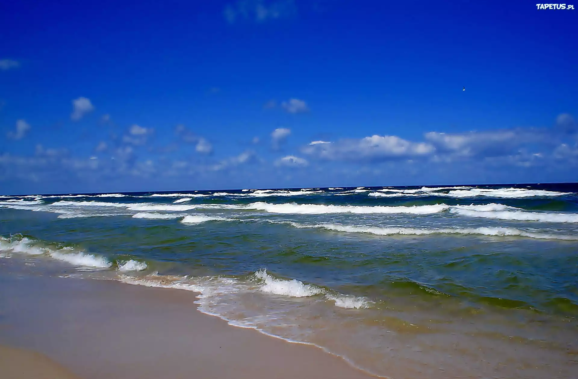 Morze, Plaża, Fale, Niebo, Chmury