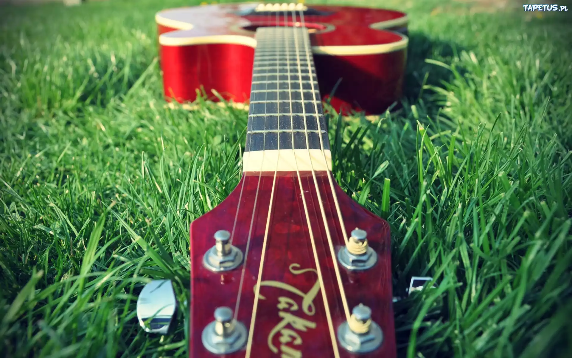 Gitara, Trawa