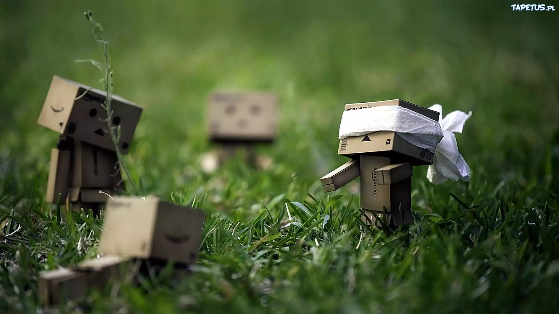 Danbo, Trawa, Zabawa, W Ciuciubabkę