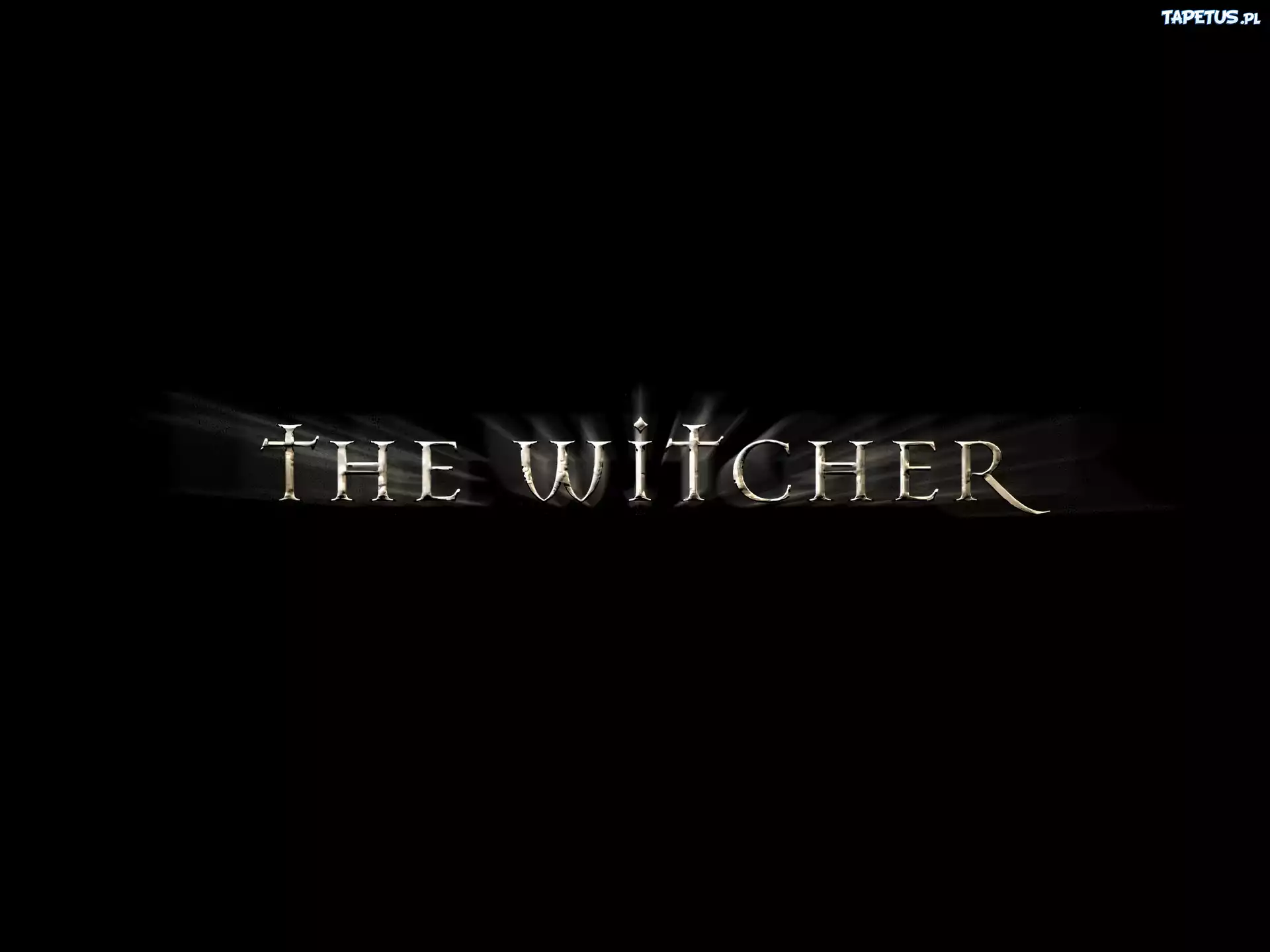 The Witcher, grafika