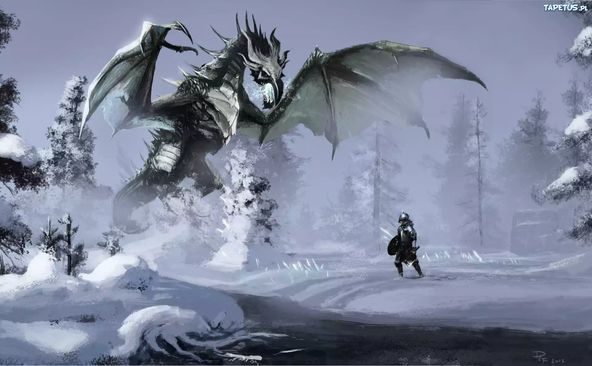 Skyrim, Zima, Smok
