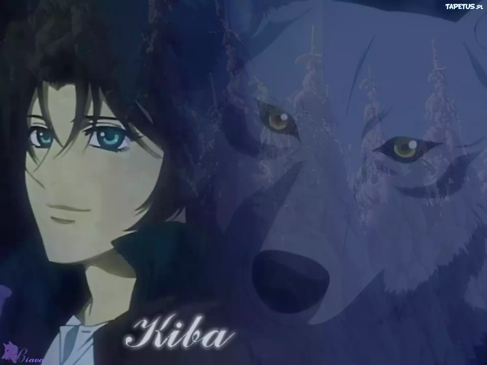 Kiba, wilk, Wolfs Rain