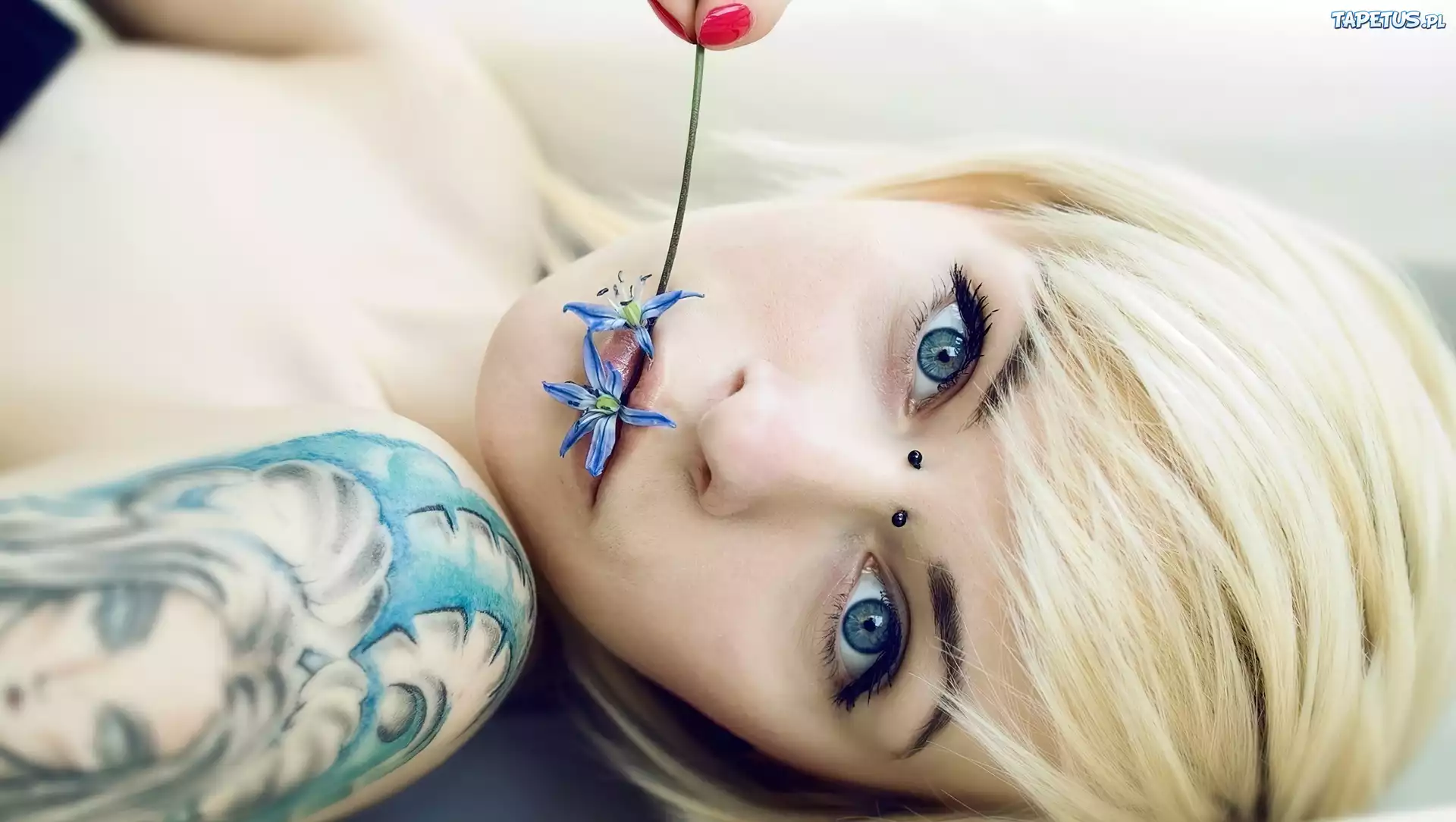 Kobieta, Blondynka, Kwiatek, Tatuaż, Kolczyki, Piercing