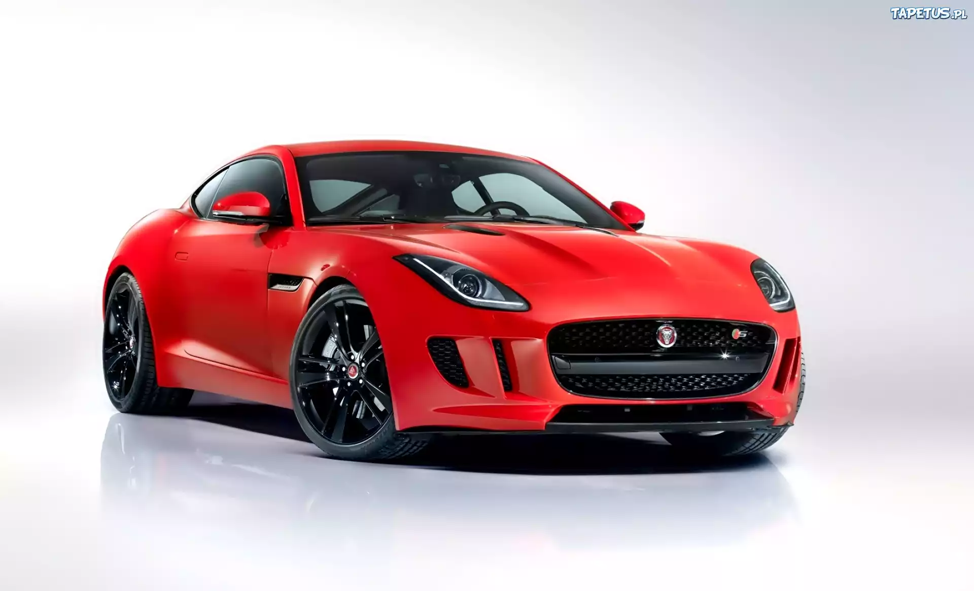Jaguar, F