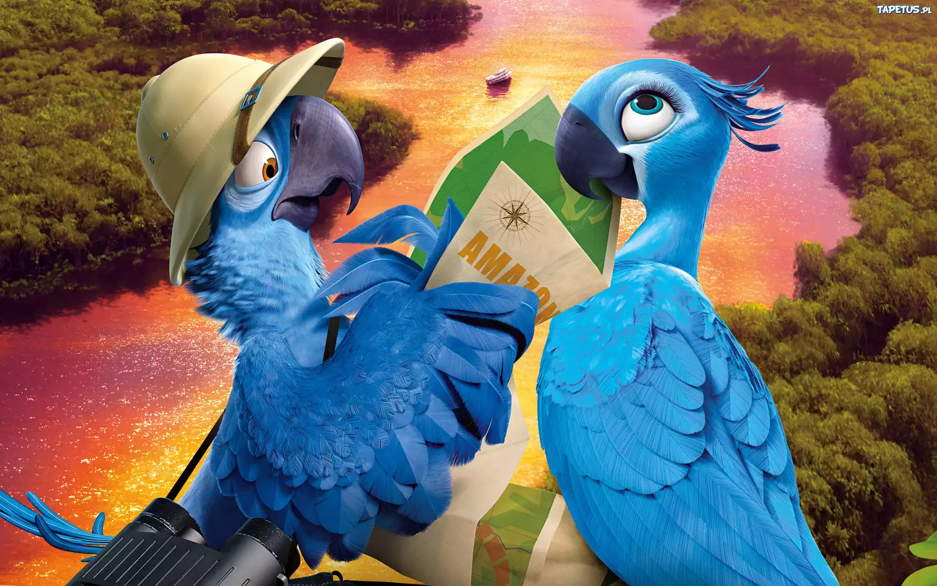 Rio2, Papużki, Rzeczka, Kapelusz