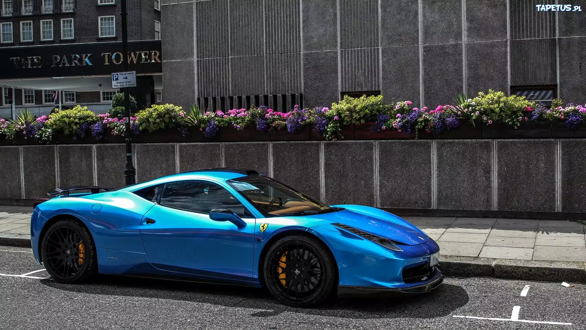 Samochód, Ferrari, 458 Italia, Ulica, Kwietniki