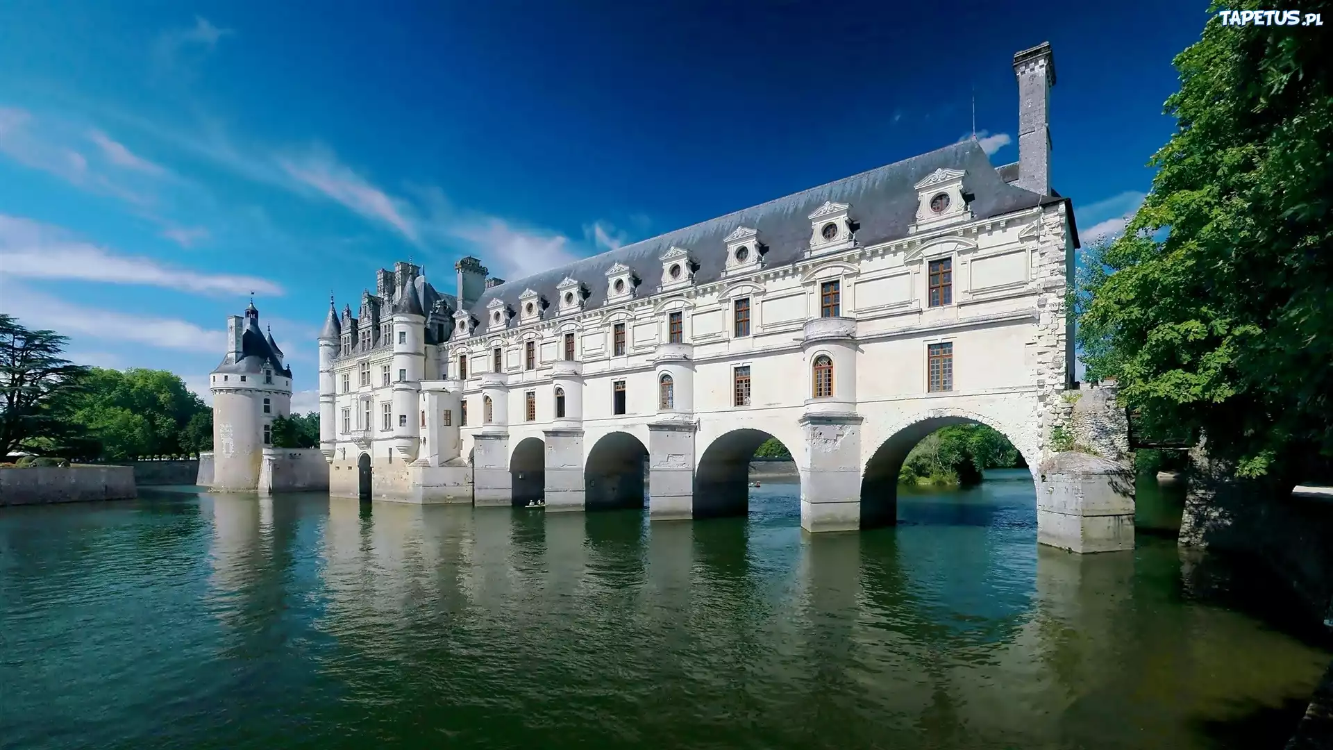 Lato, Zamek, Chenonceau, Francja