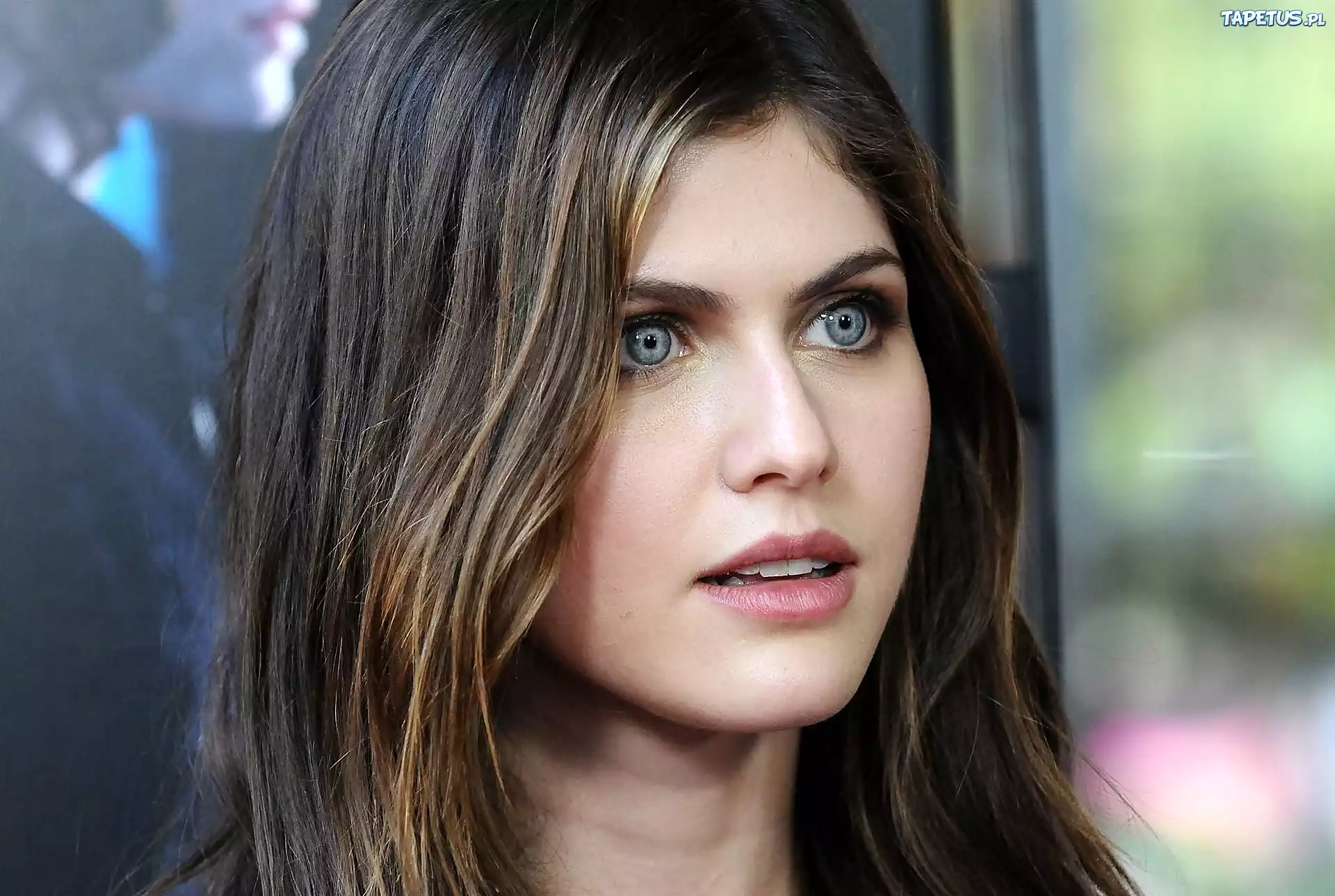 Alexandra, Daddario, Aktorka, Zbliżenie