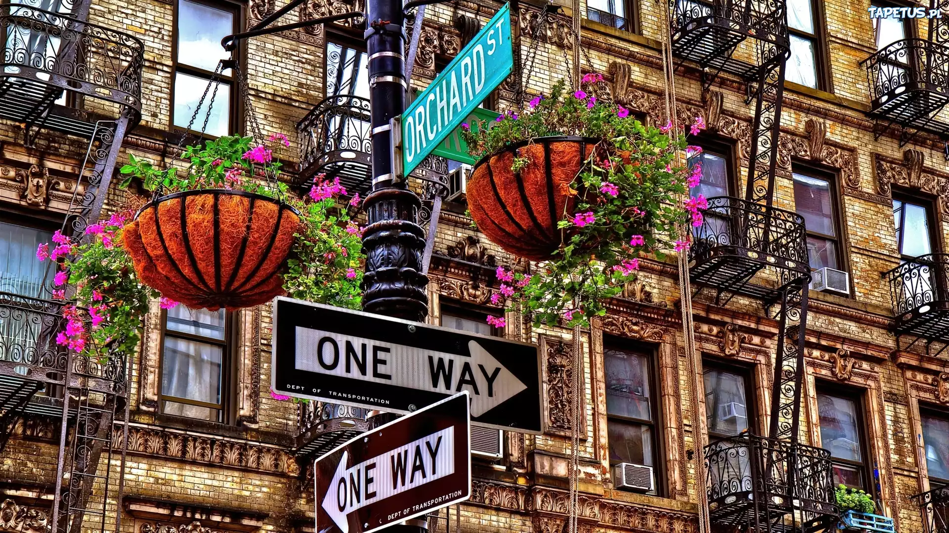 Budynki, Ulica, Manhattan, Nowy Jork, USA