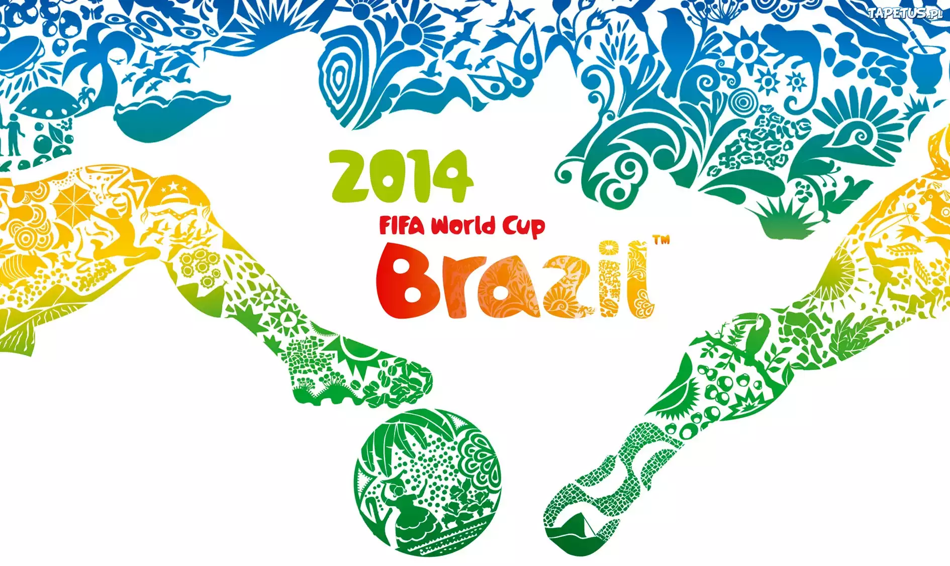 World cup 2014