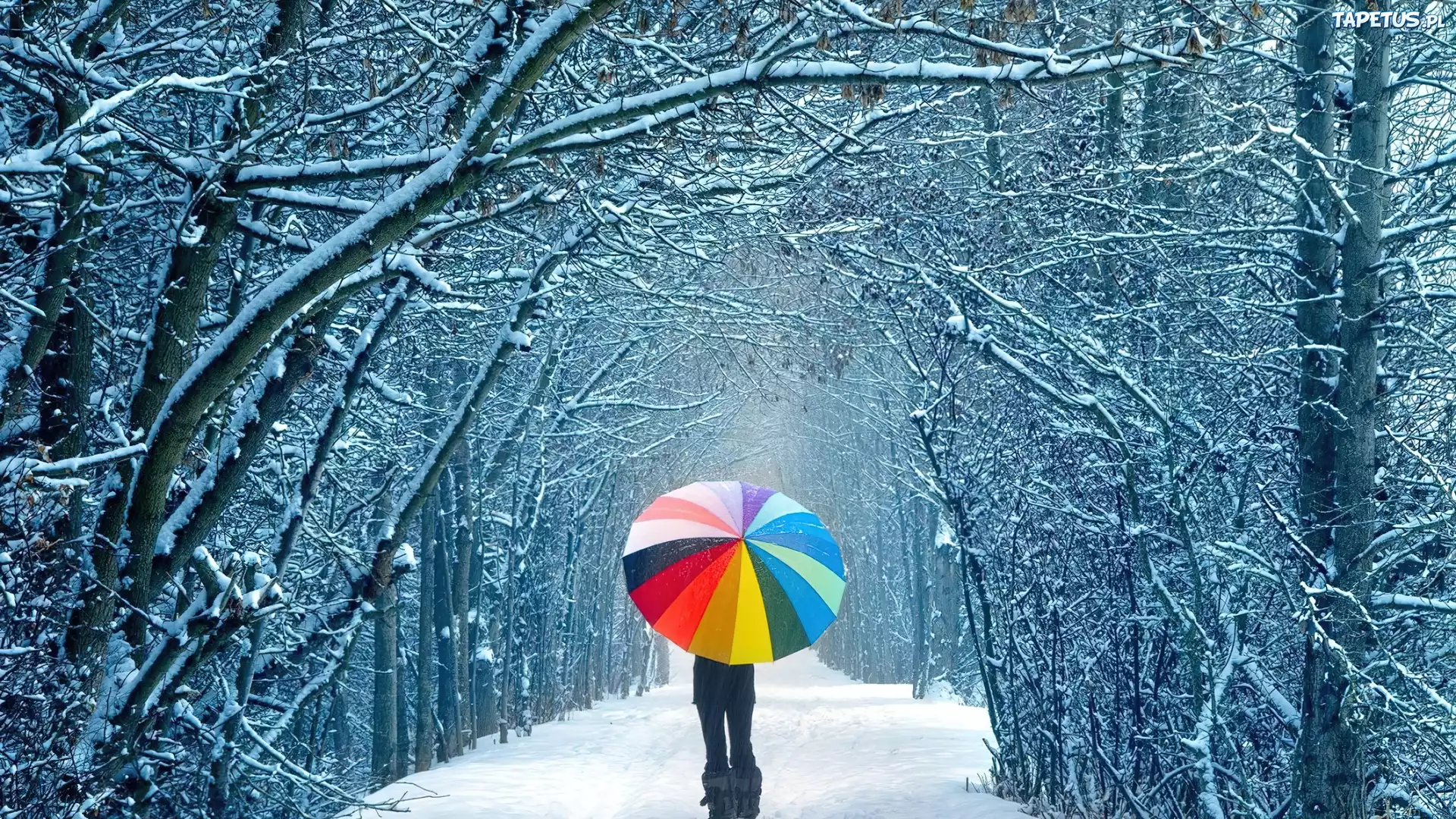 Droga, Śnieg, Parasol