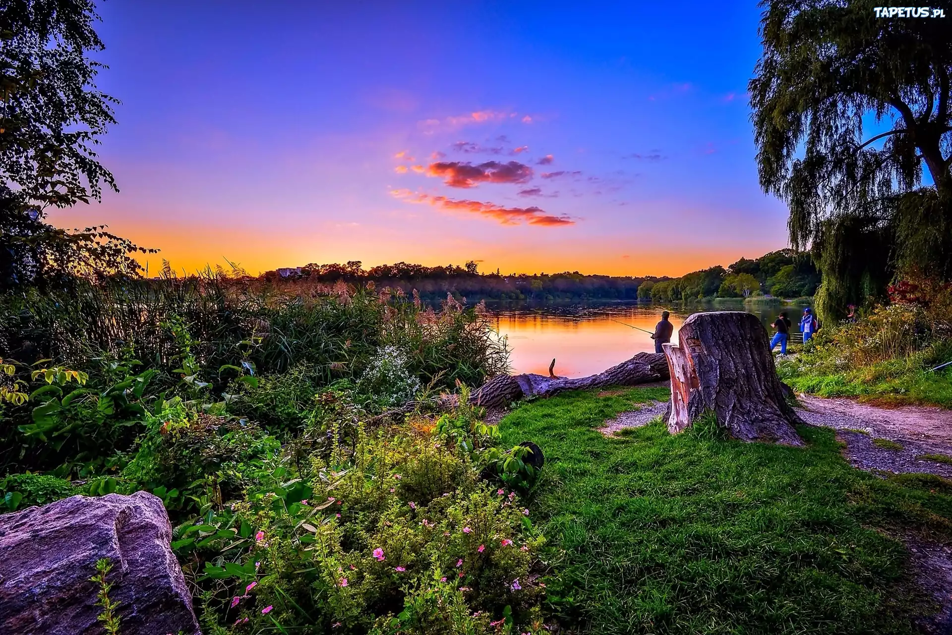 Jezioro, Przyroda, Wędkarze