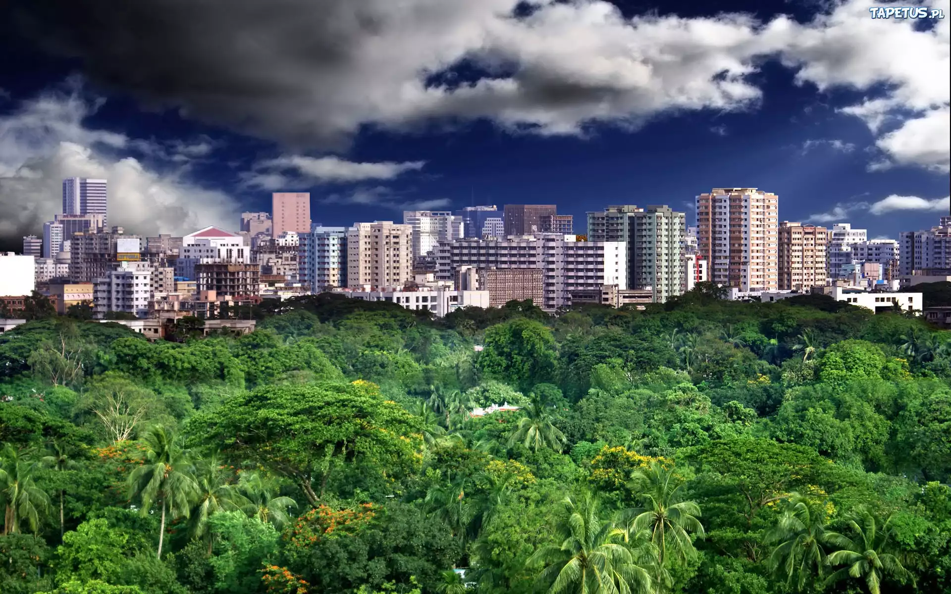 Bangladesz, Dhaka, Miasto, Las