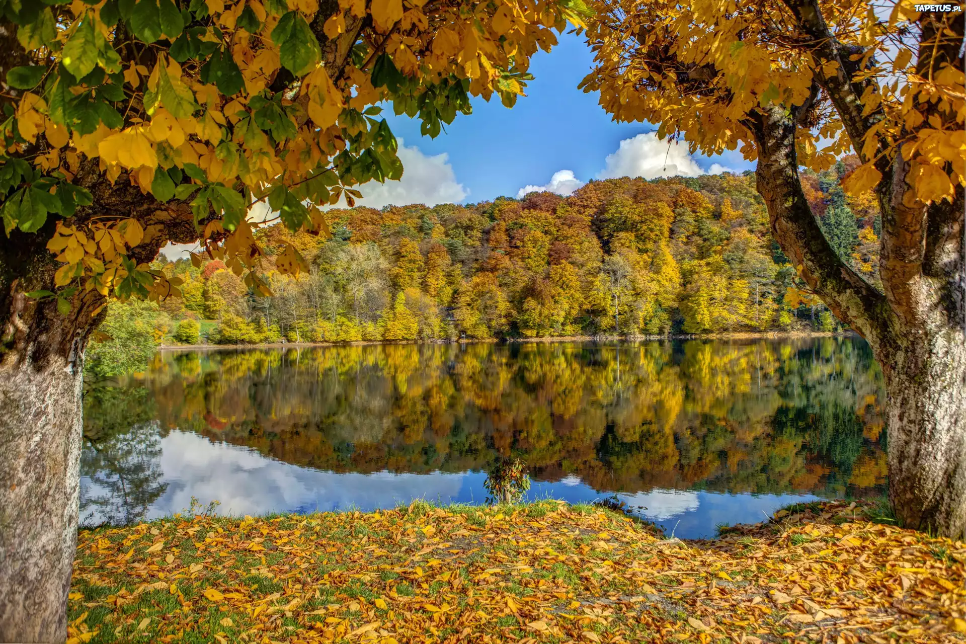 Jezioro, Góry, Lasy, Liście, Jesień