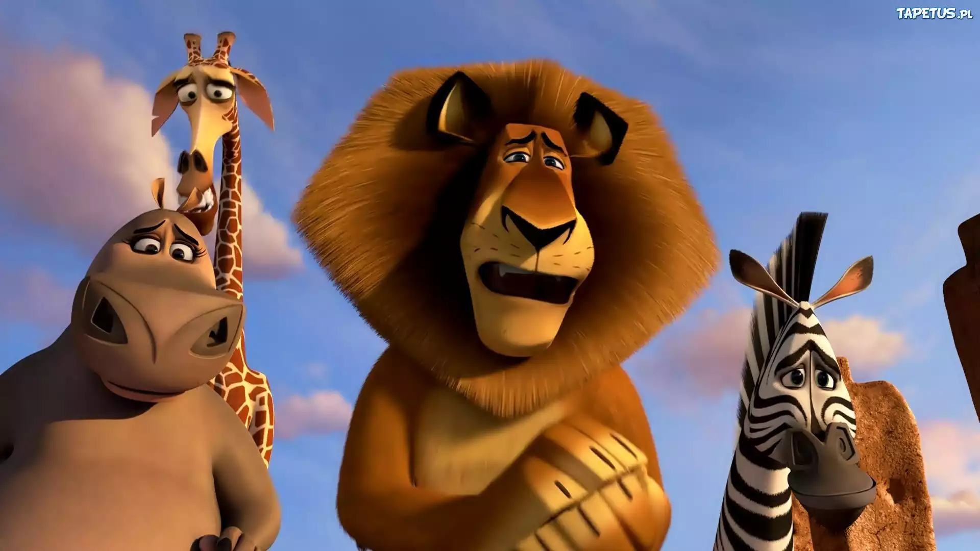 Madagaskar 3
