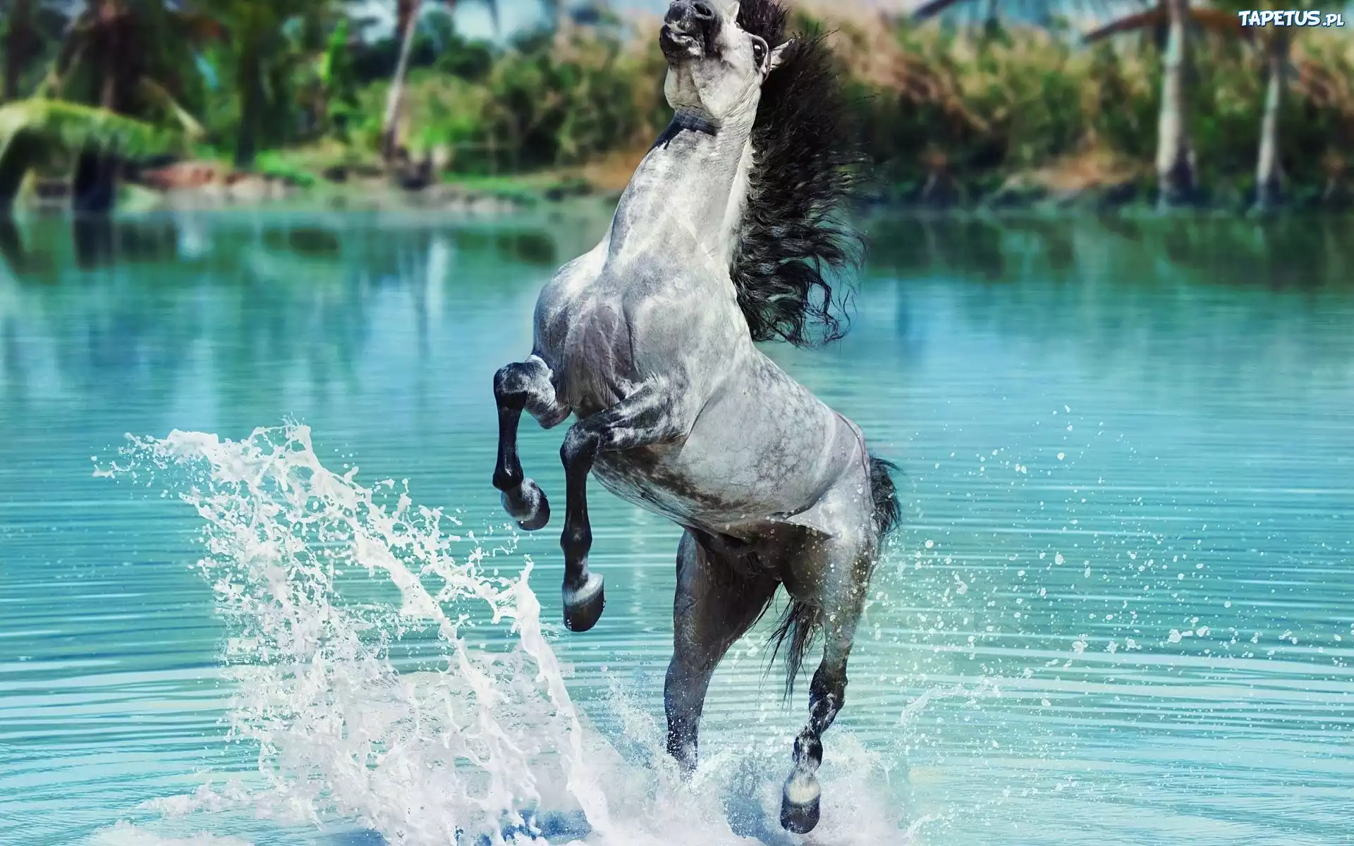 Лошади в воде загрузить