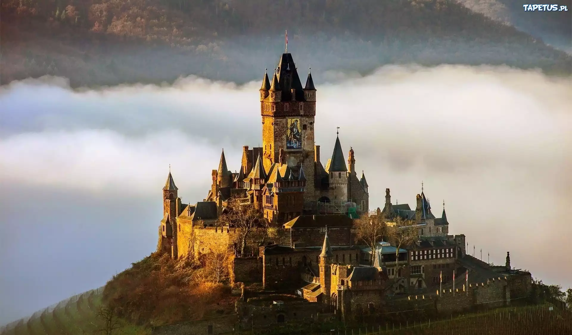 Zamek, W, Cochem, Niemcy