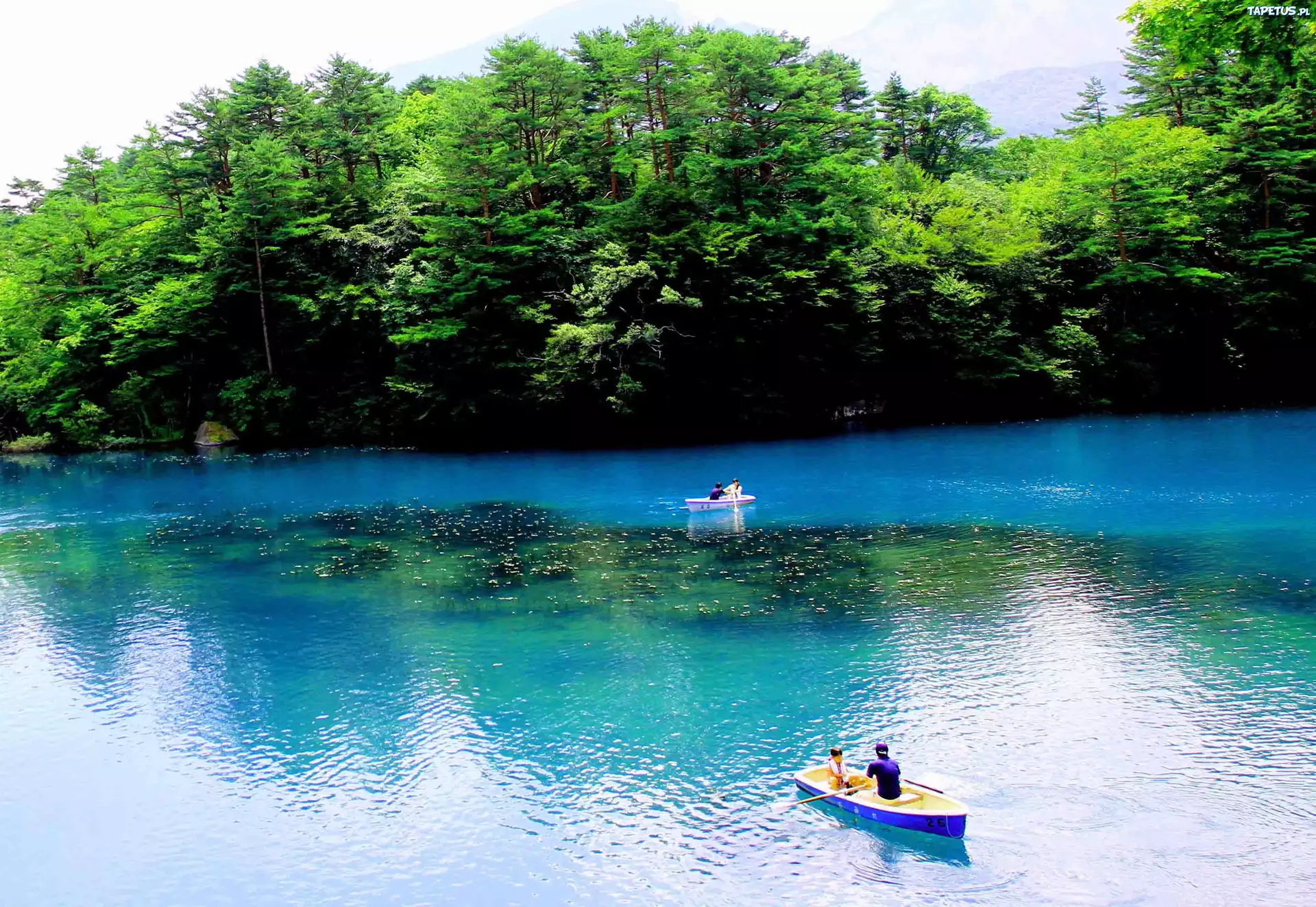Jezioro, Drzewa, Łódki, Japonia