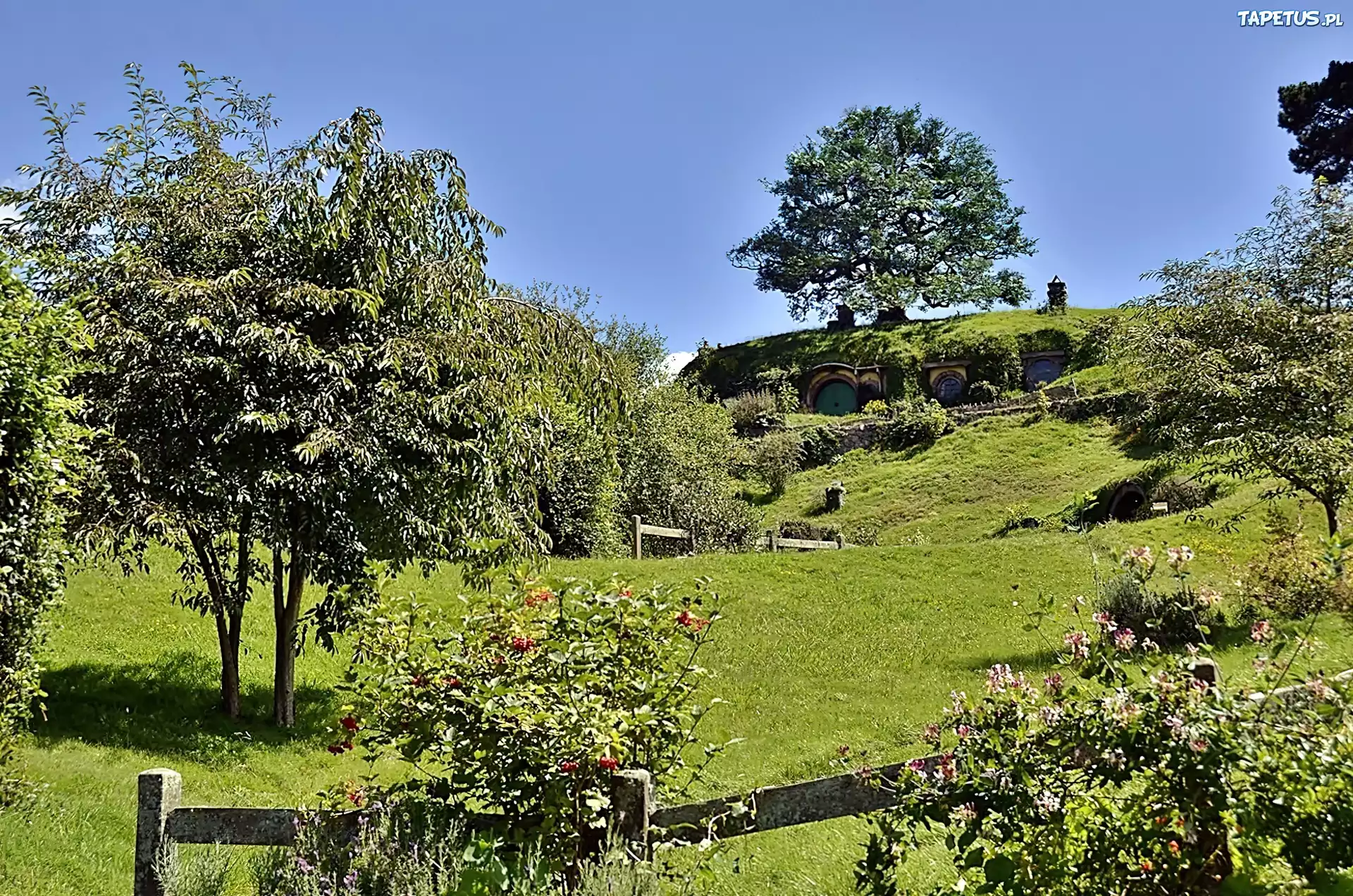 Domek, Hobbita, Łąka, Ogródek