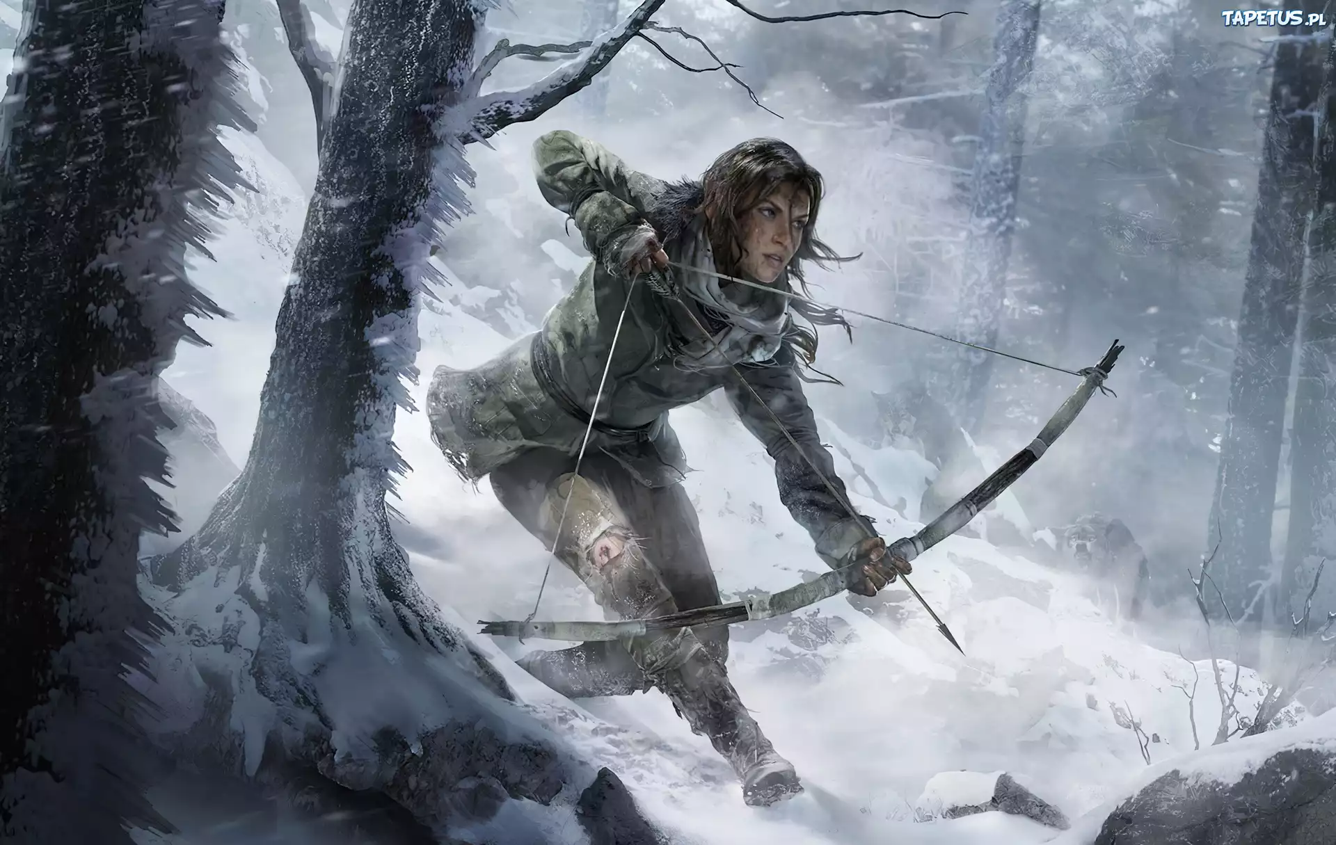 Dziewczyna, Łuk, Zima, Tomb Raider