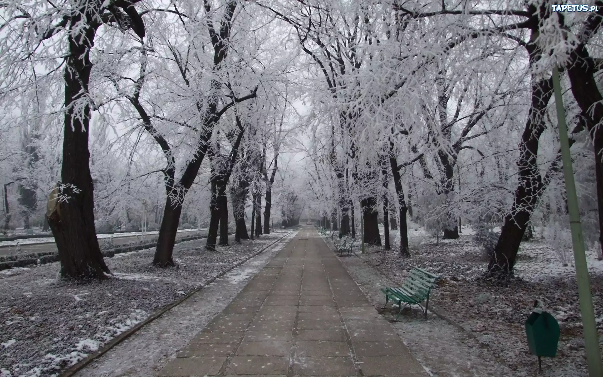 Zima, Park, Aleja, Ławki