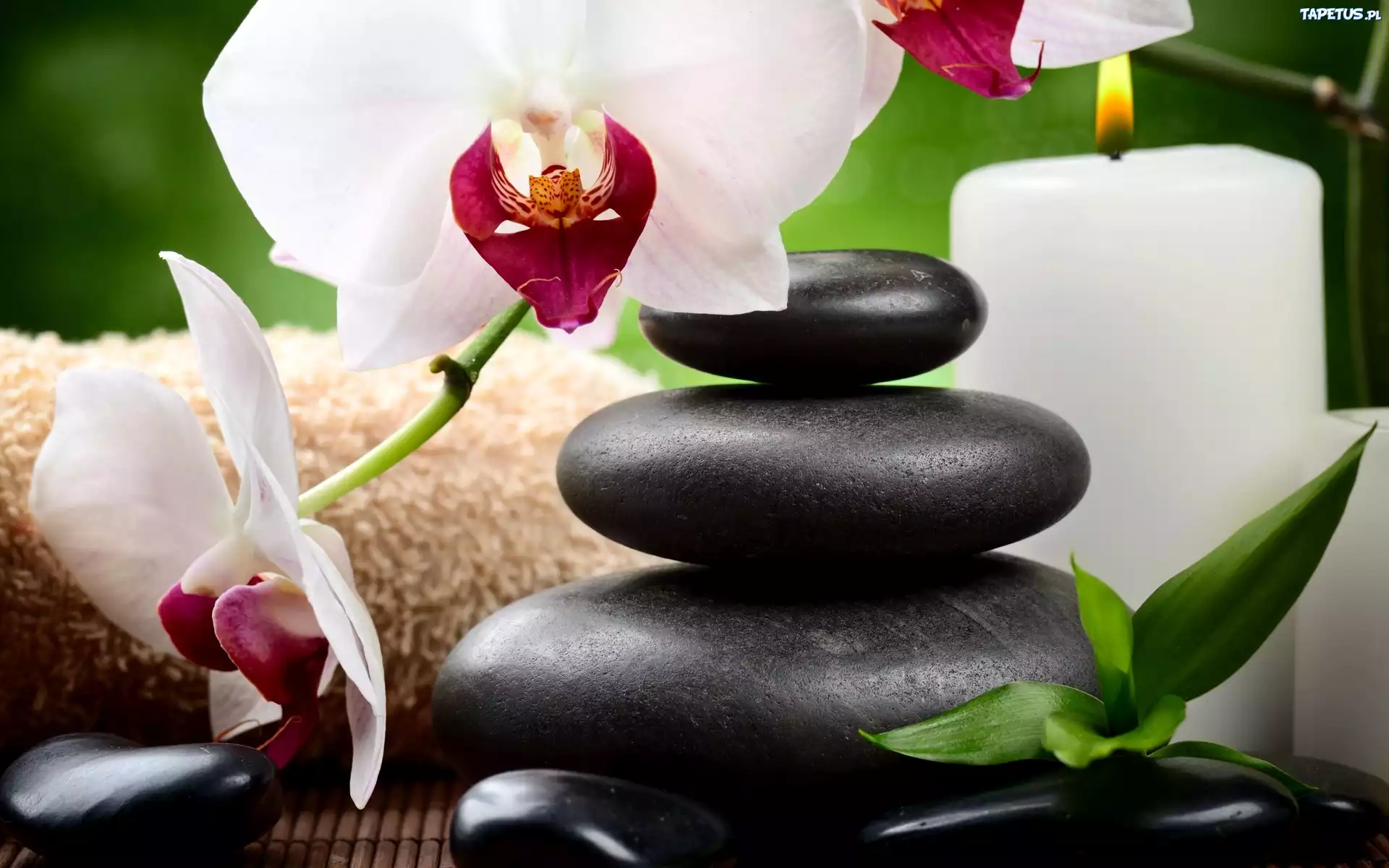 Orchidea, Świeca, Kamienie, SPA, Kompozycja