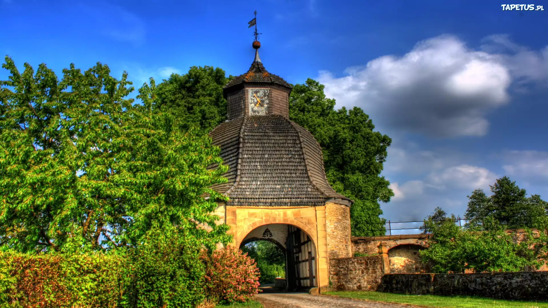 Kapliczka, Drzewa