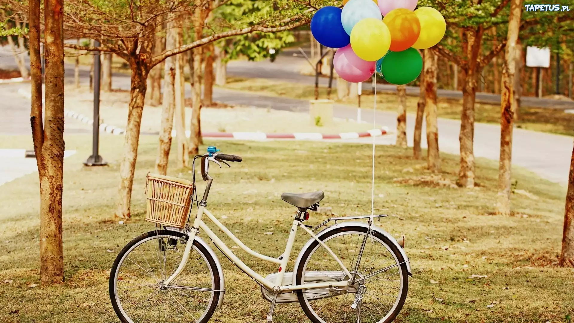 Rower, Park, Balony