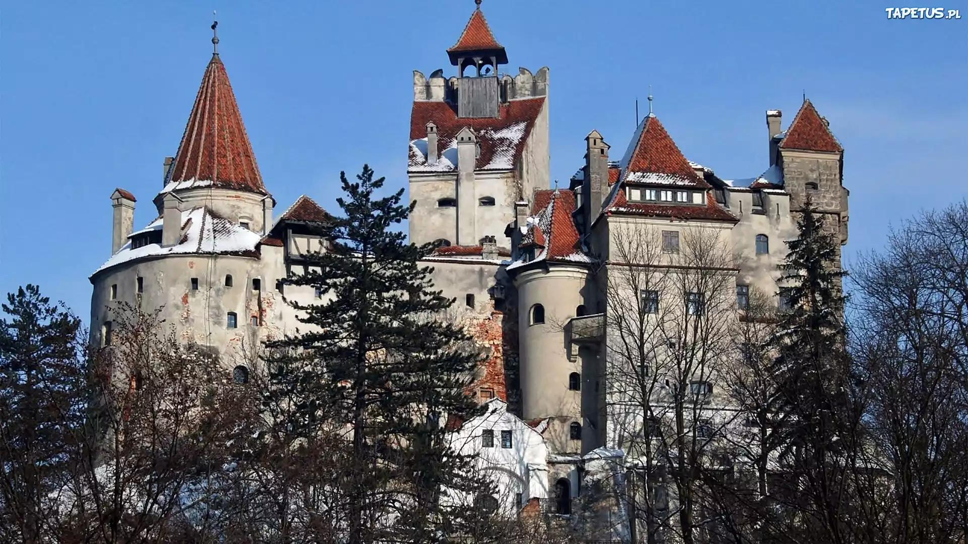Zamek, Bran, Drzewa, Zima, Braszów