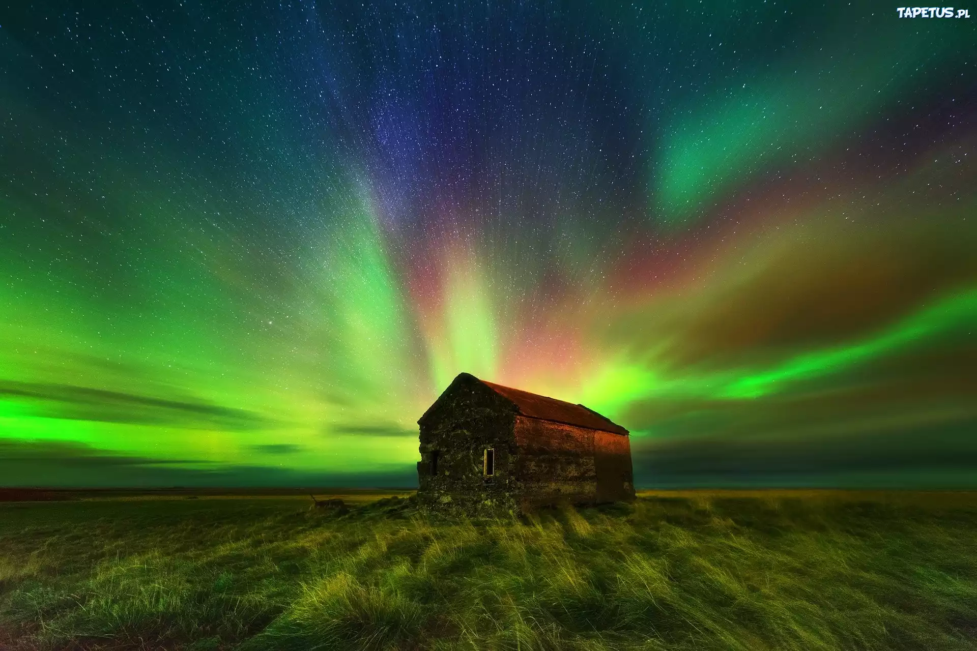 Stary, Dom, Łąka, Zorza Polarna, Islandia